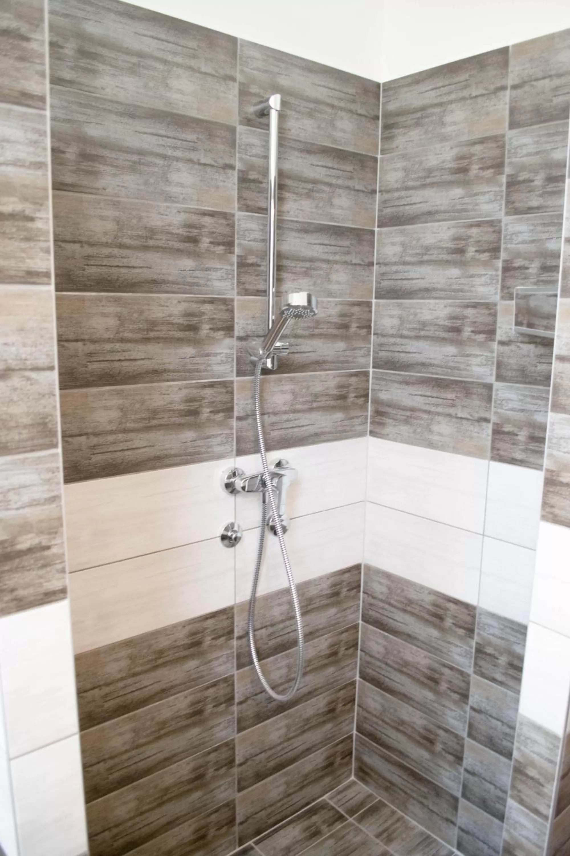 Shower, Bathroom in Petra Hotel