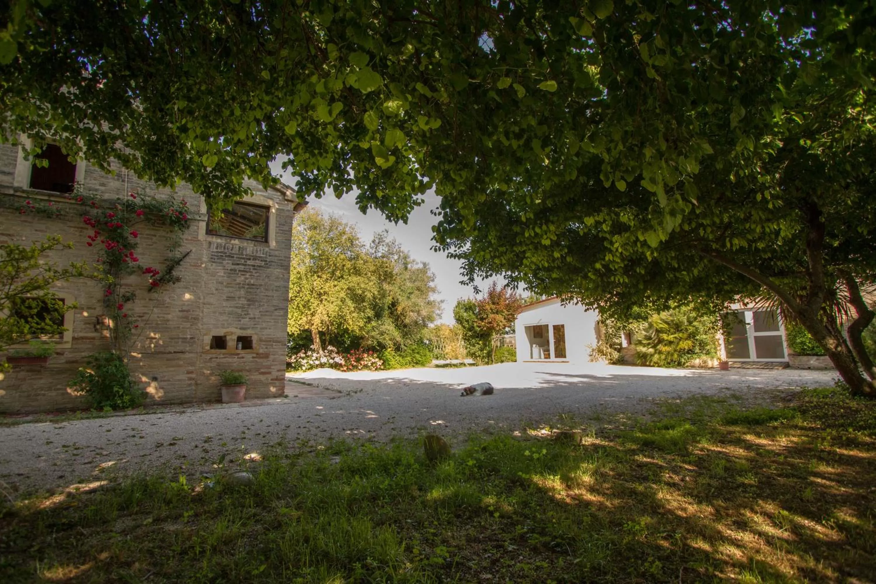 La Casa di Tara B&B Armonia e Natura