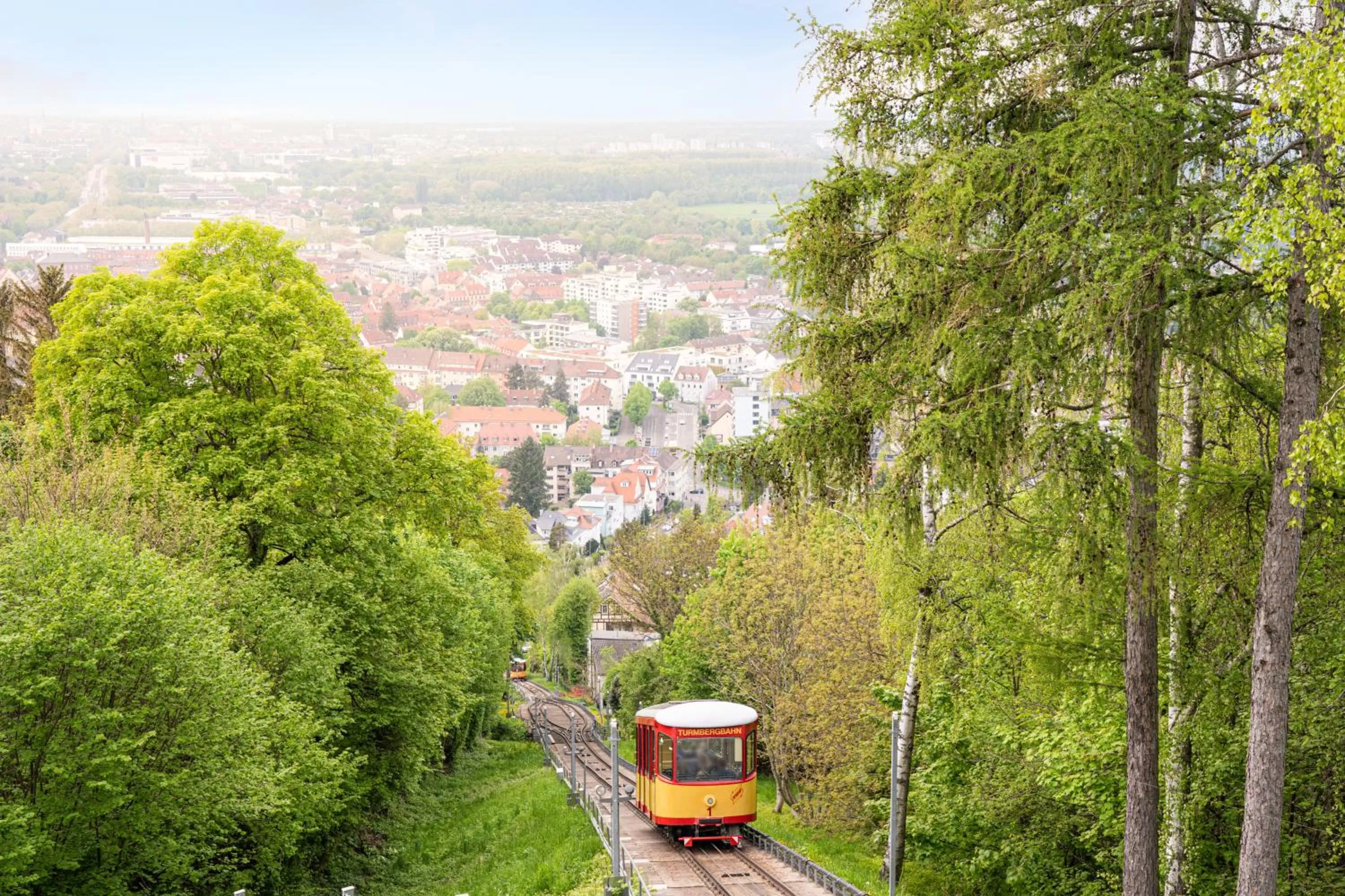 Natural landscape in ANA Living Karlsruhe by Arthotel ANA