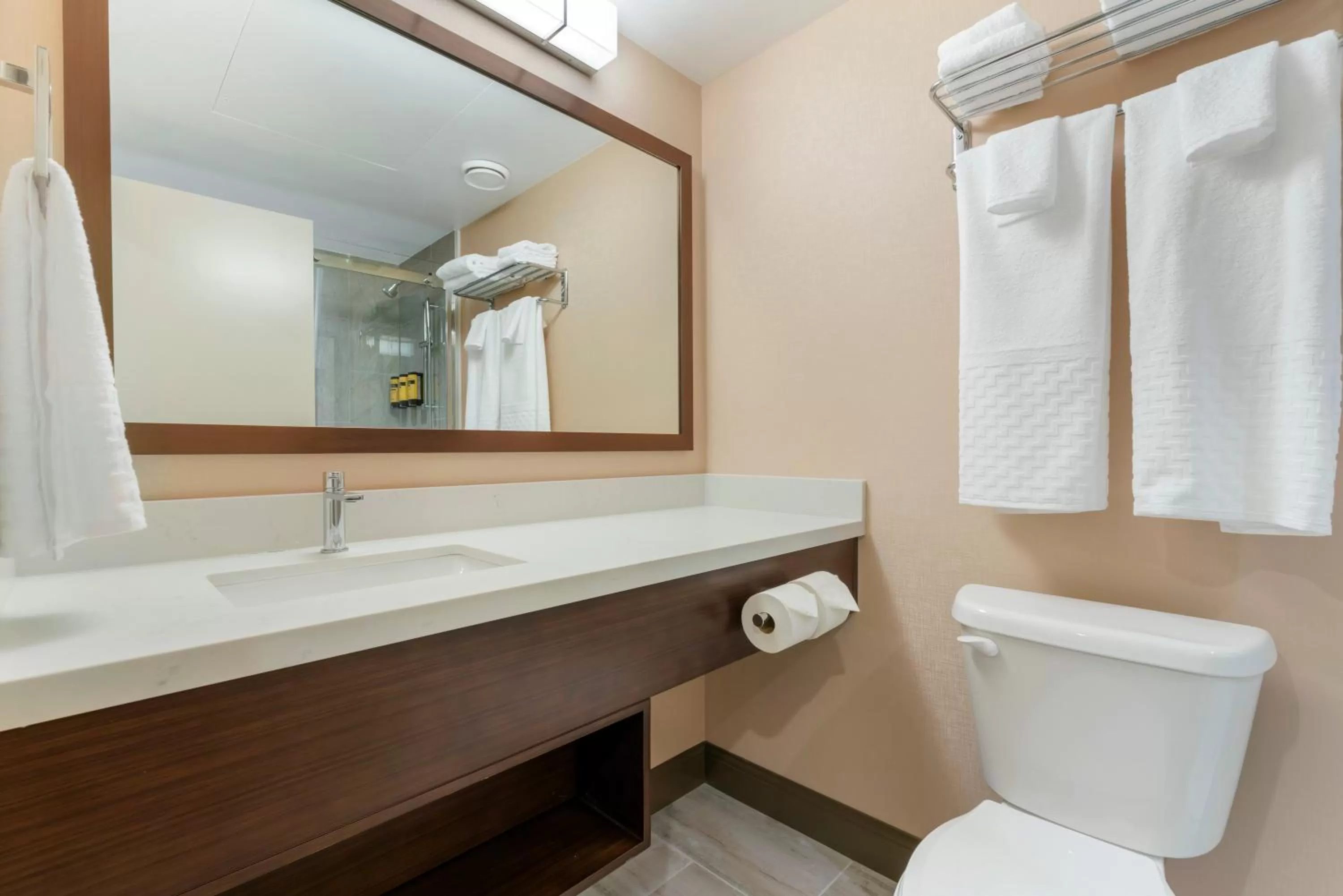 Bathroom in Best Western PLUS Mission City Lodge