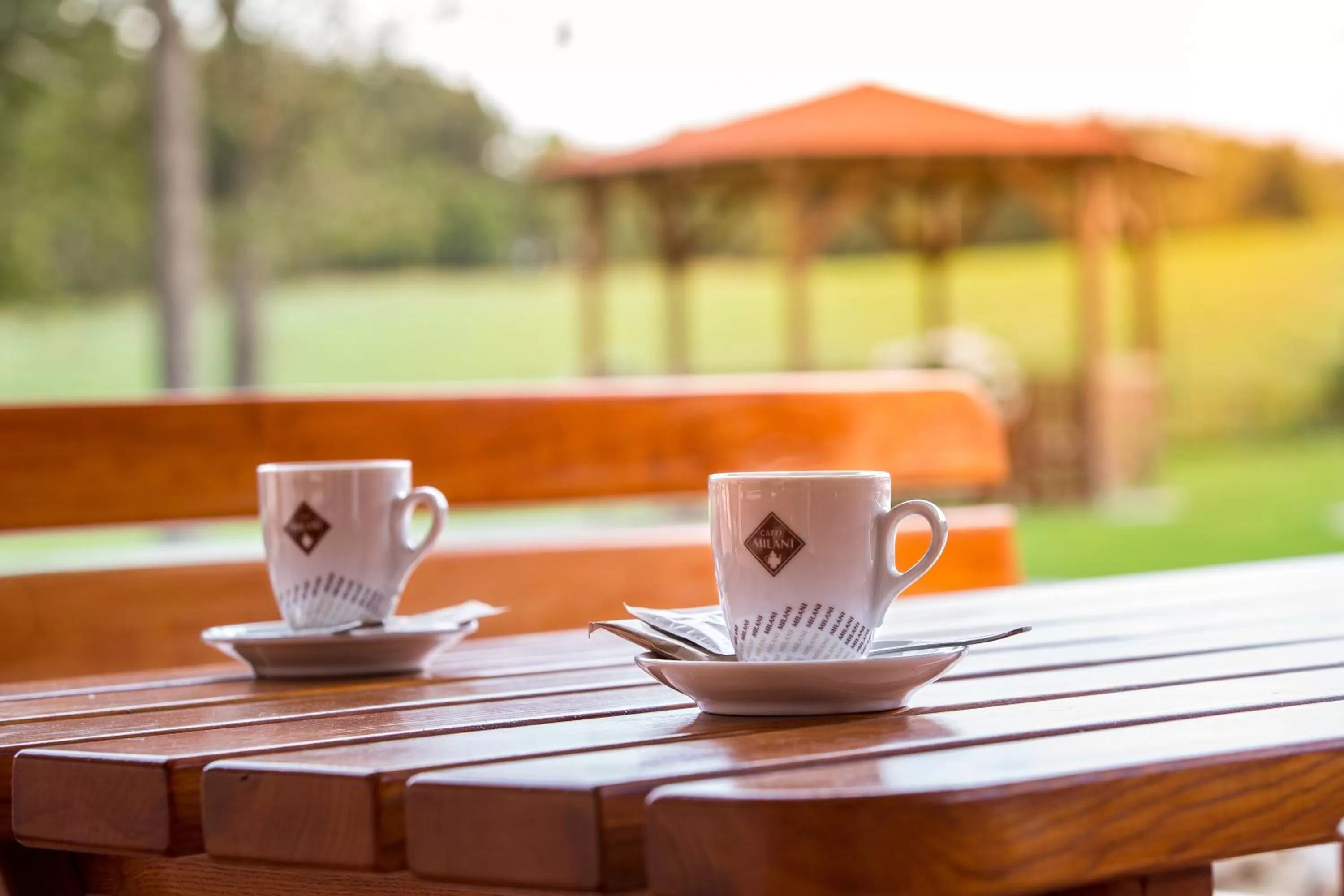 Breakfast in Wellness penzion Medličky