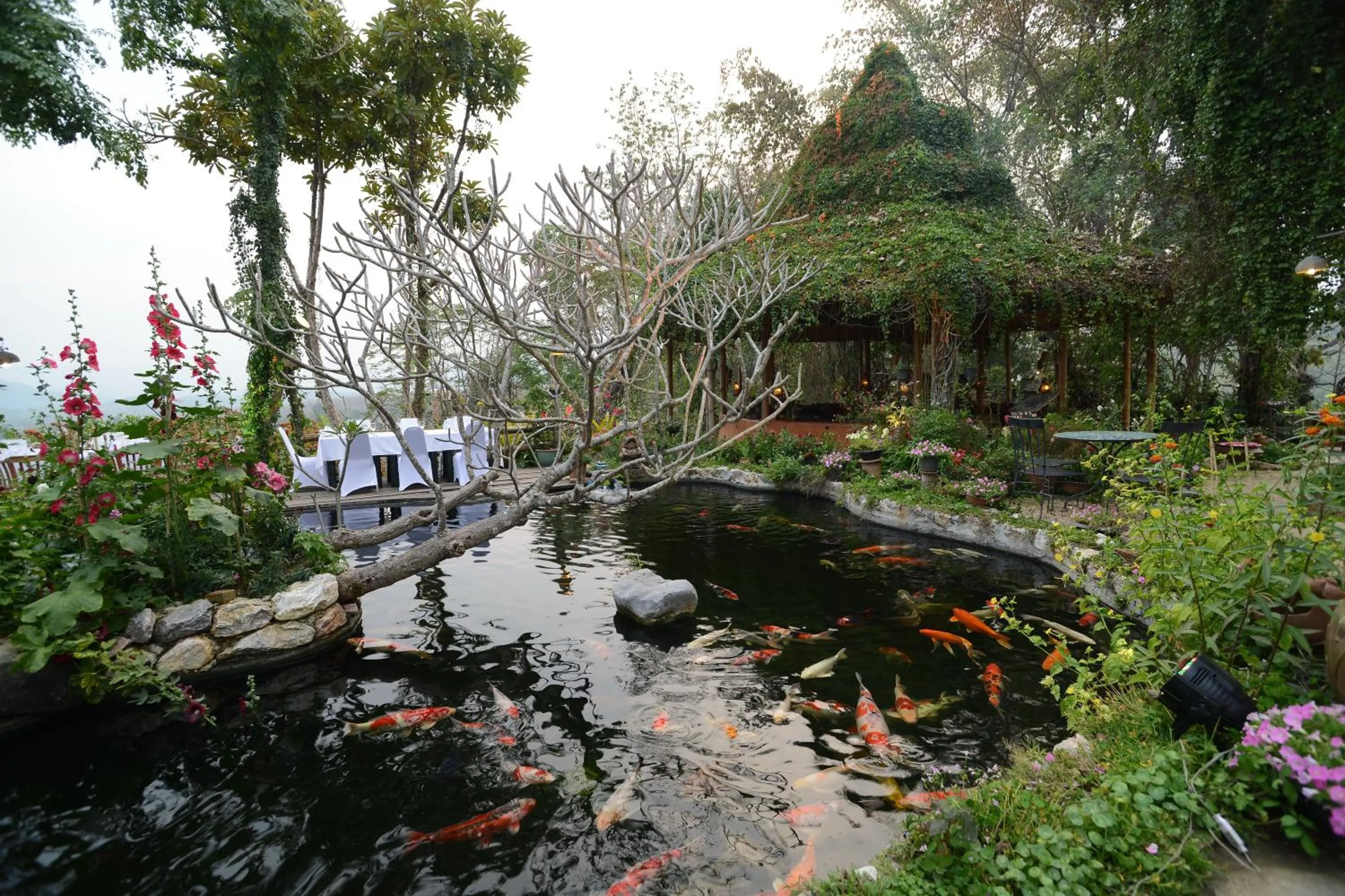 On site in Phu Chaisai Chiang Rai Mountain Resort