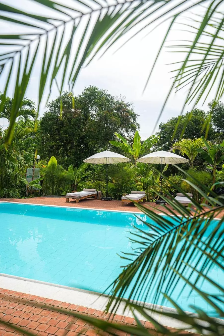 Garden in MuchoSur Quimbaya