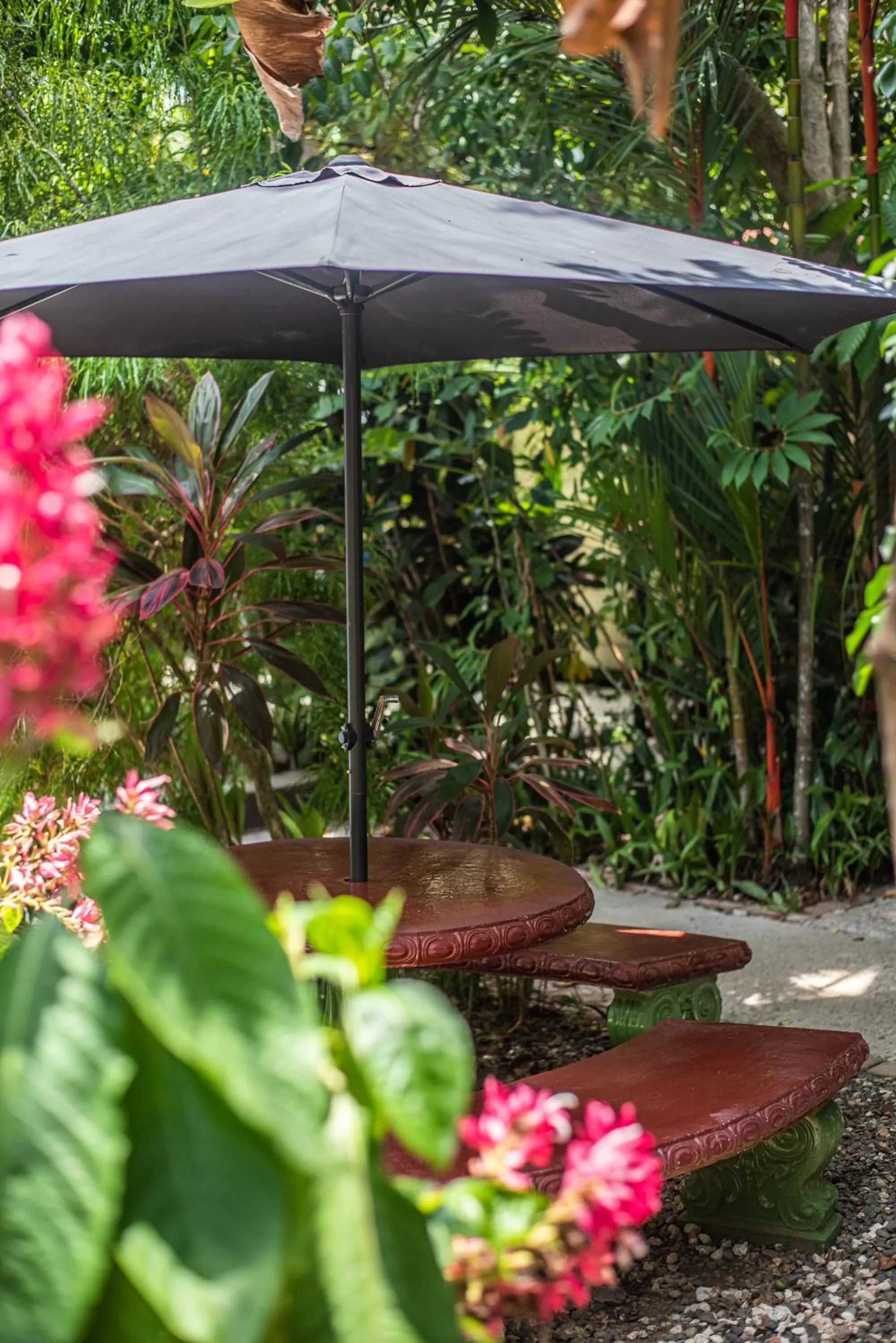 Garden in Jaco Lodge Quiet Place