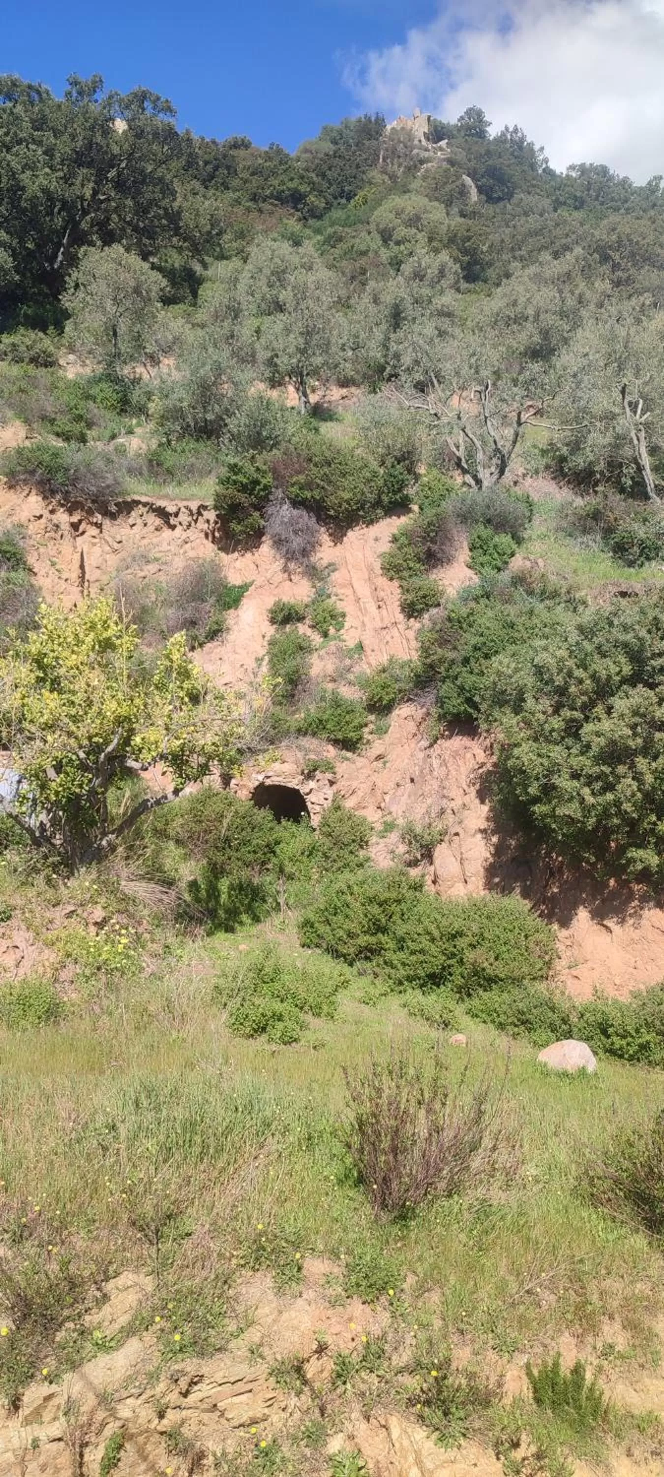 Spring in Il Nuraghe