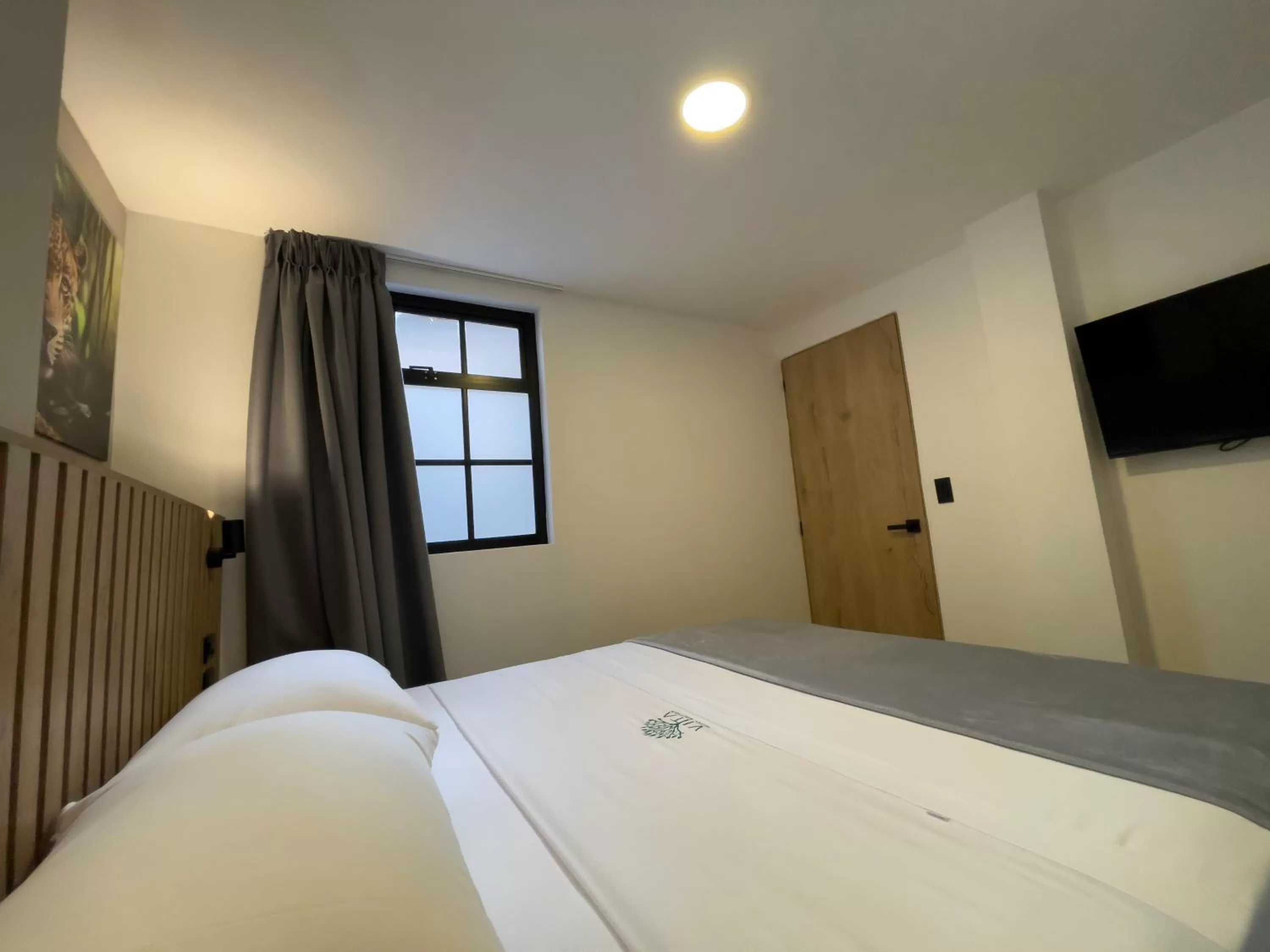 TV and multimedia, Bed in Vita Hotel Boutique