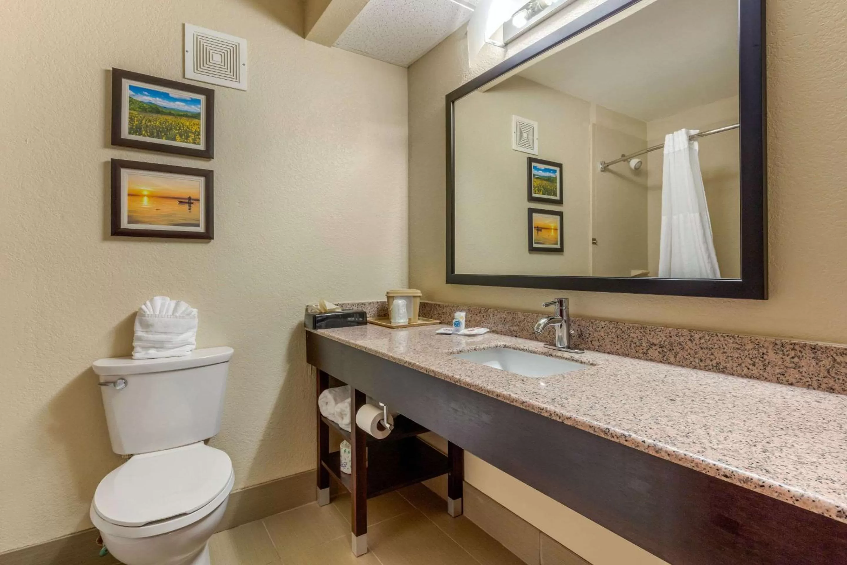 Bathroom in Comfort Inn Lenoir City-Knoxville