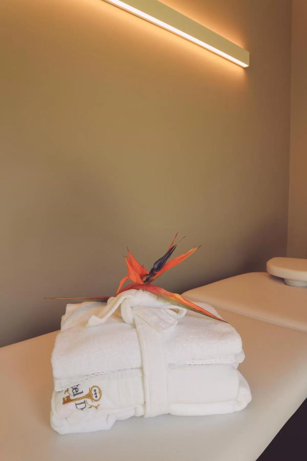 Massage in Hotel Diana Jardin et Spa