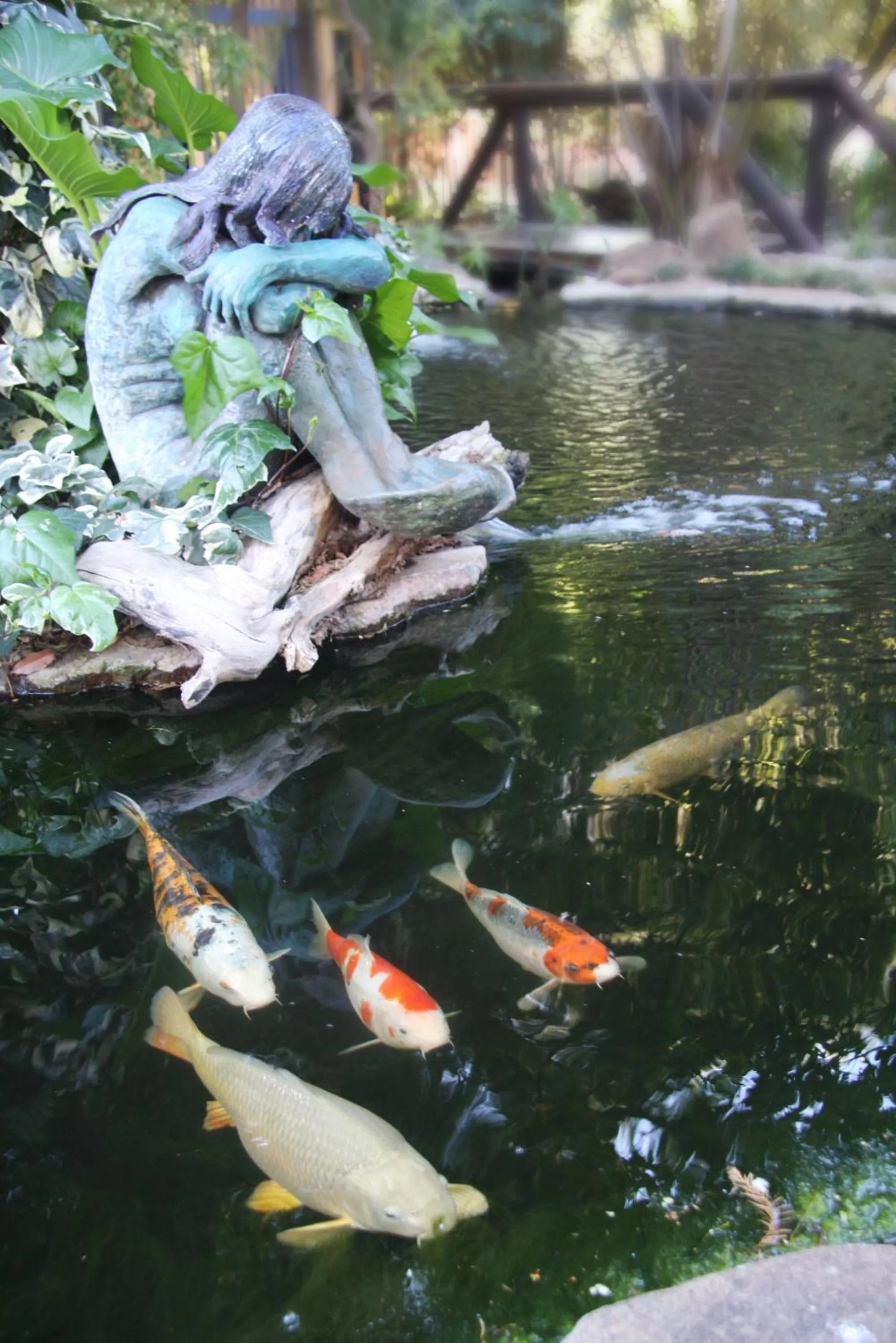 Garden, Other Animals in Jedidja Bed and Breakfast