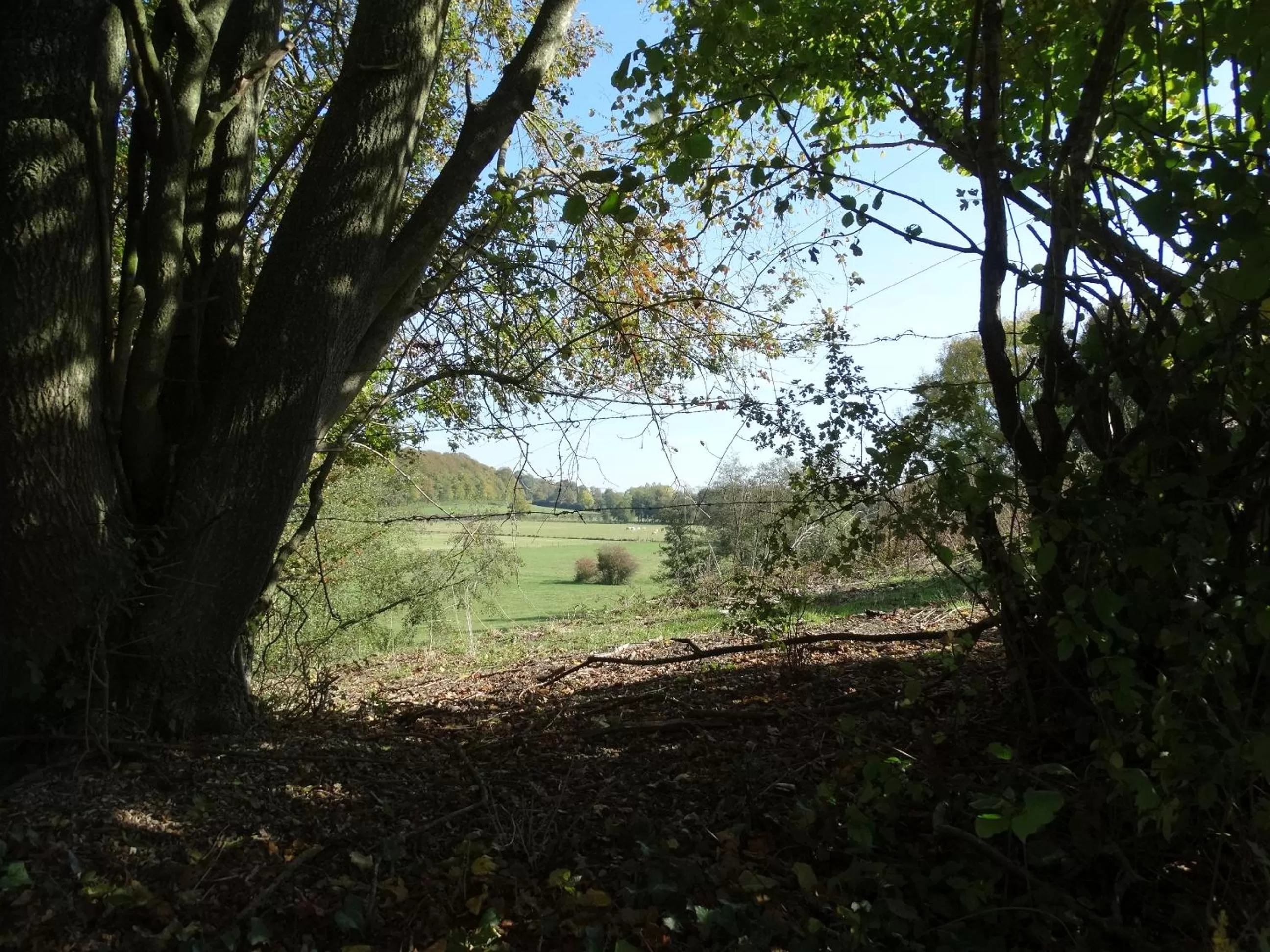 Natural landscape in La Vannerie
