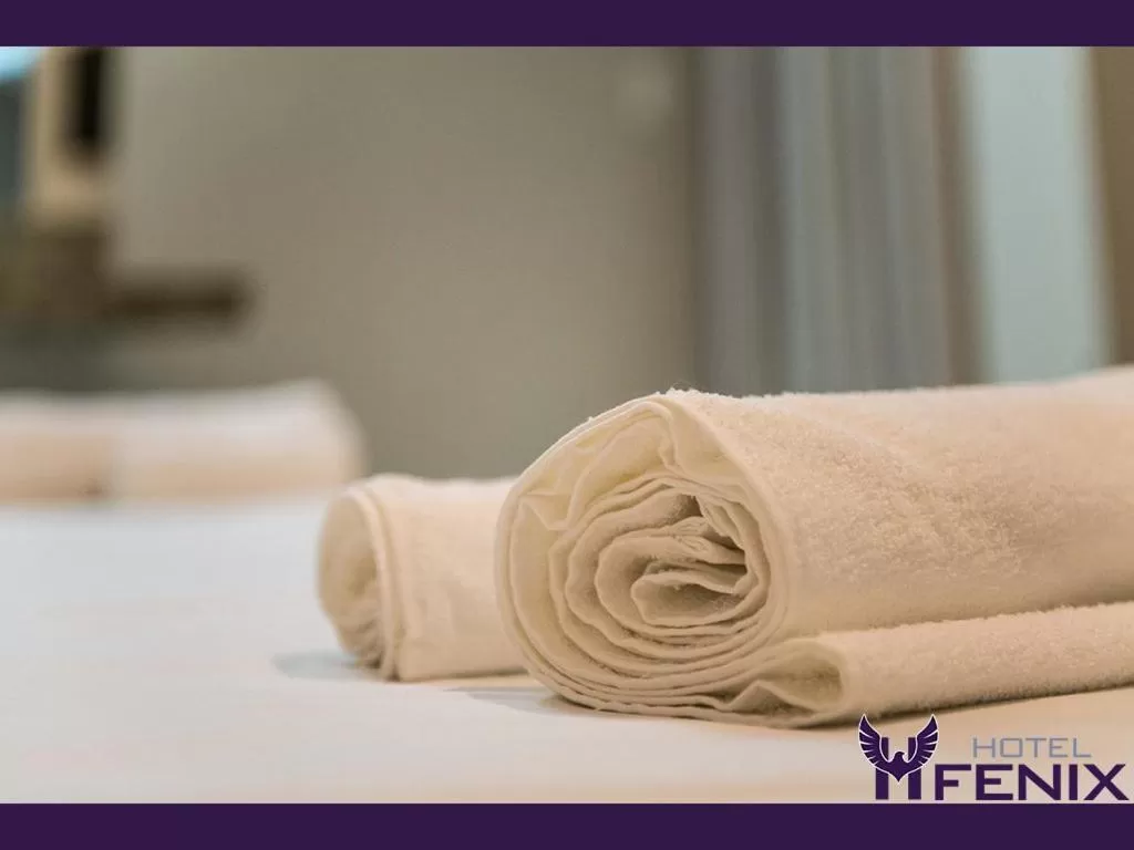 Hotel Fenix