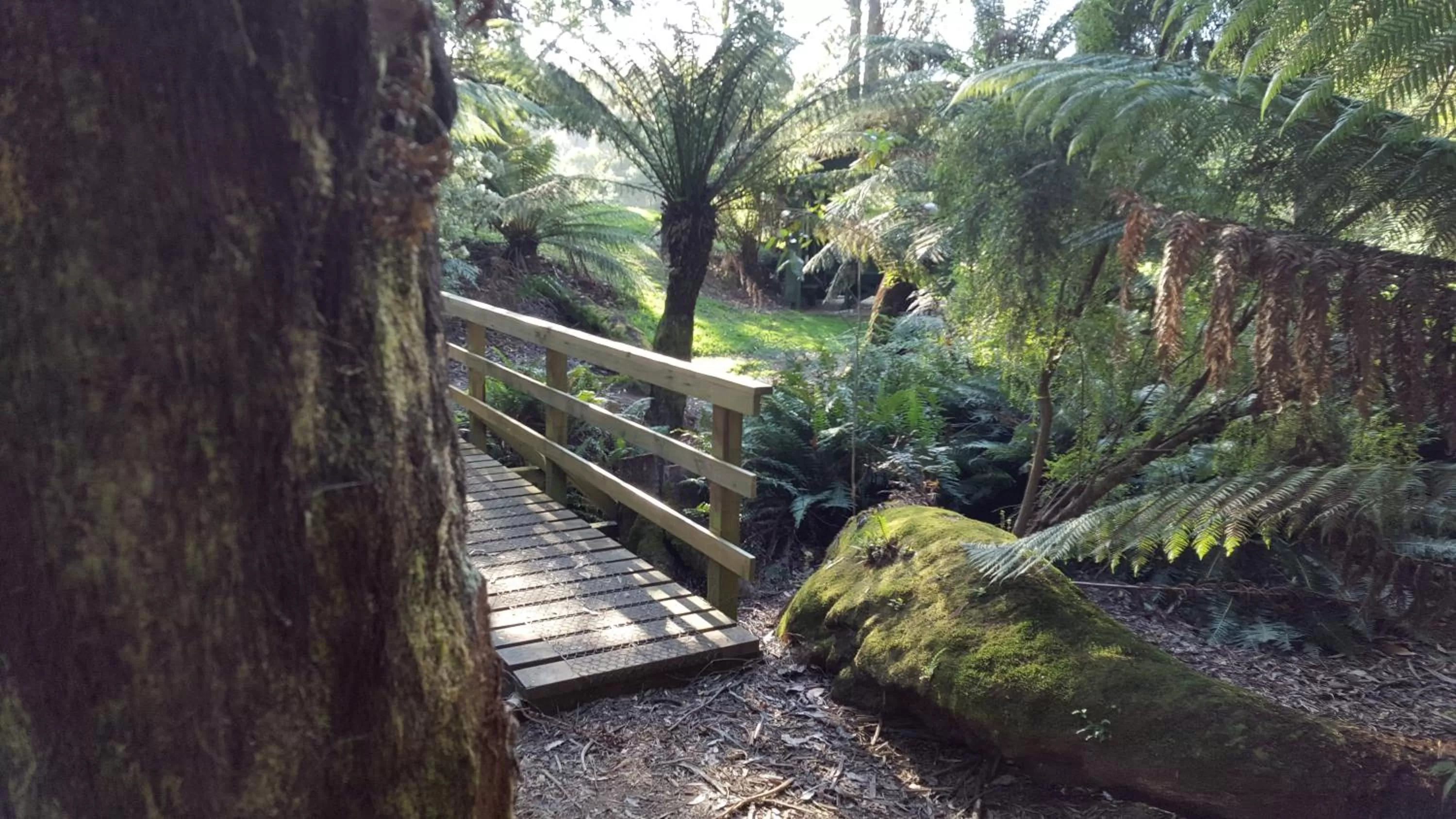 Hiking in Rustic Hut Bush Retreat