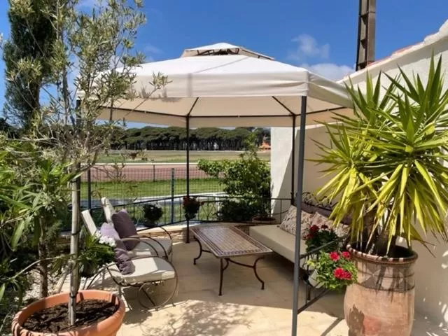 Patio in Hôtel Le Méditerranée