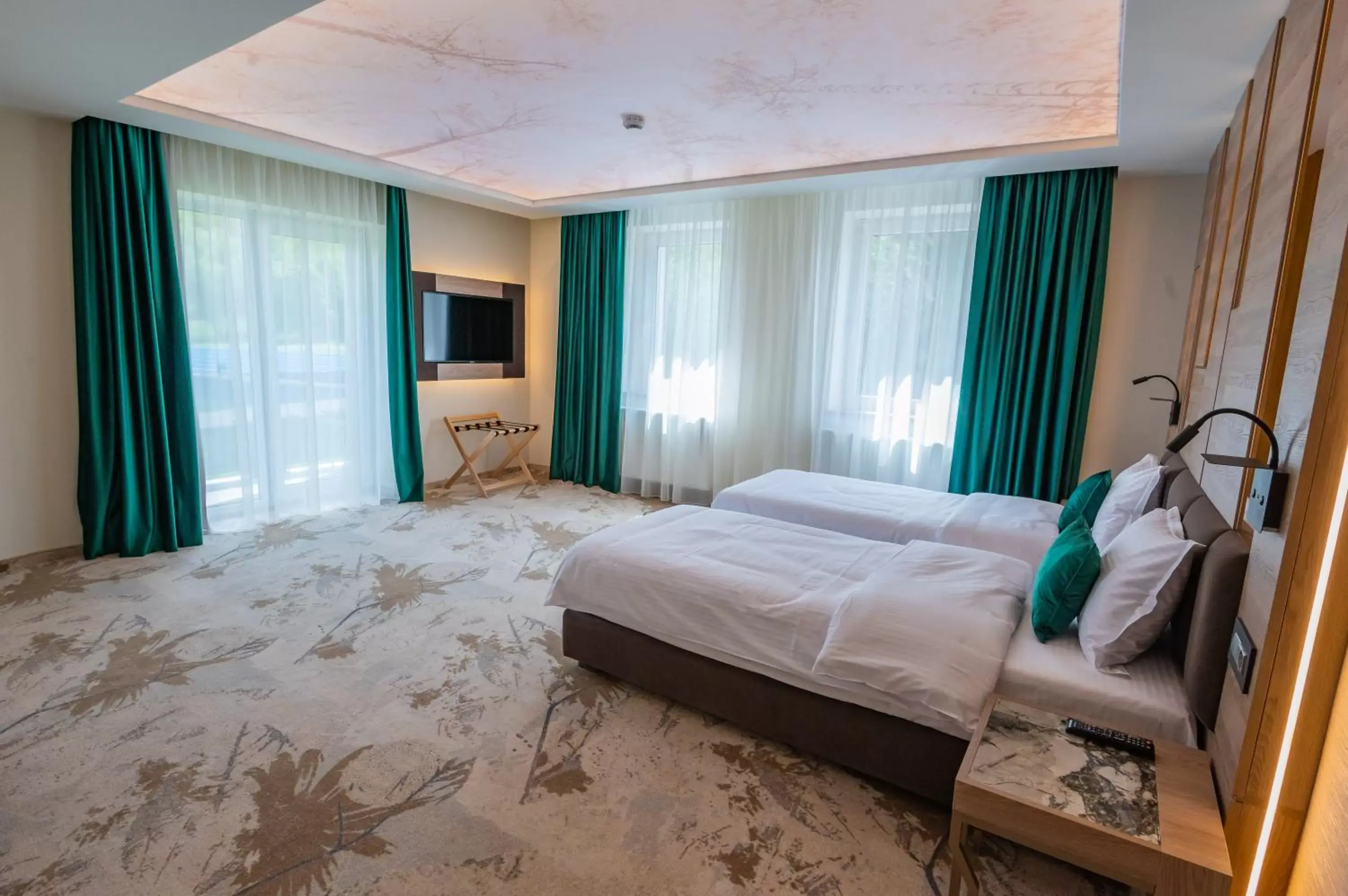 King Room with Pool View in Hotel Codrişor King Room with Pool View in Hotel Codrişor