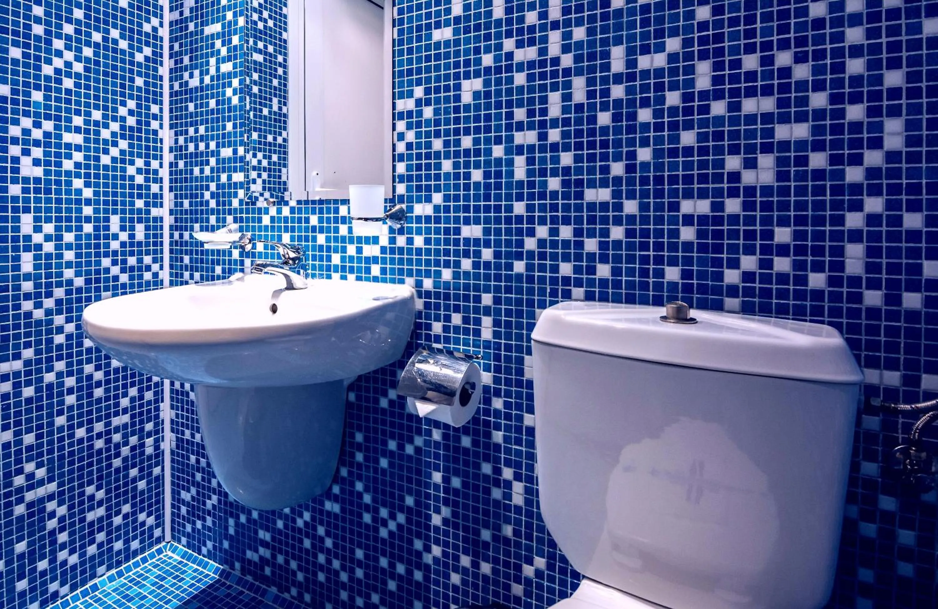 Toilet in Family Hotel Dalis