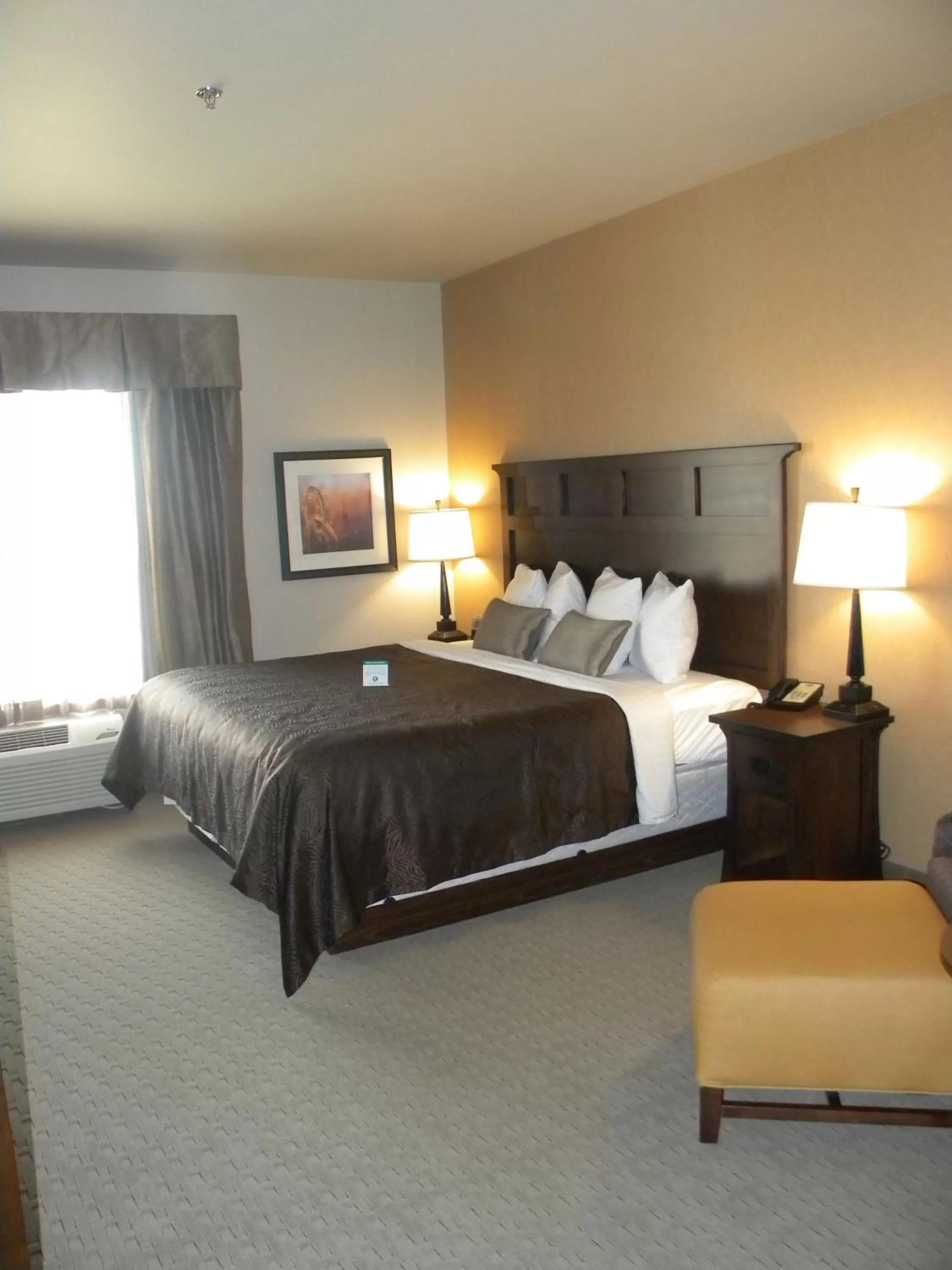Deluxe King Room in Teddy's Residential Suites Watford City