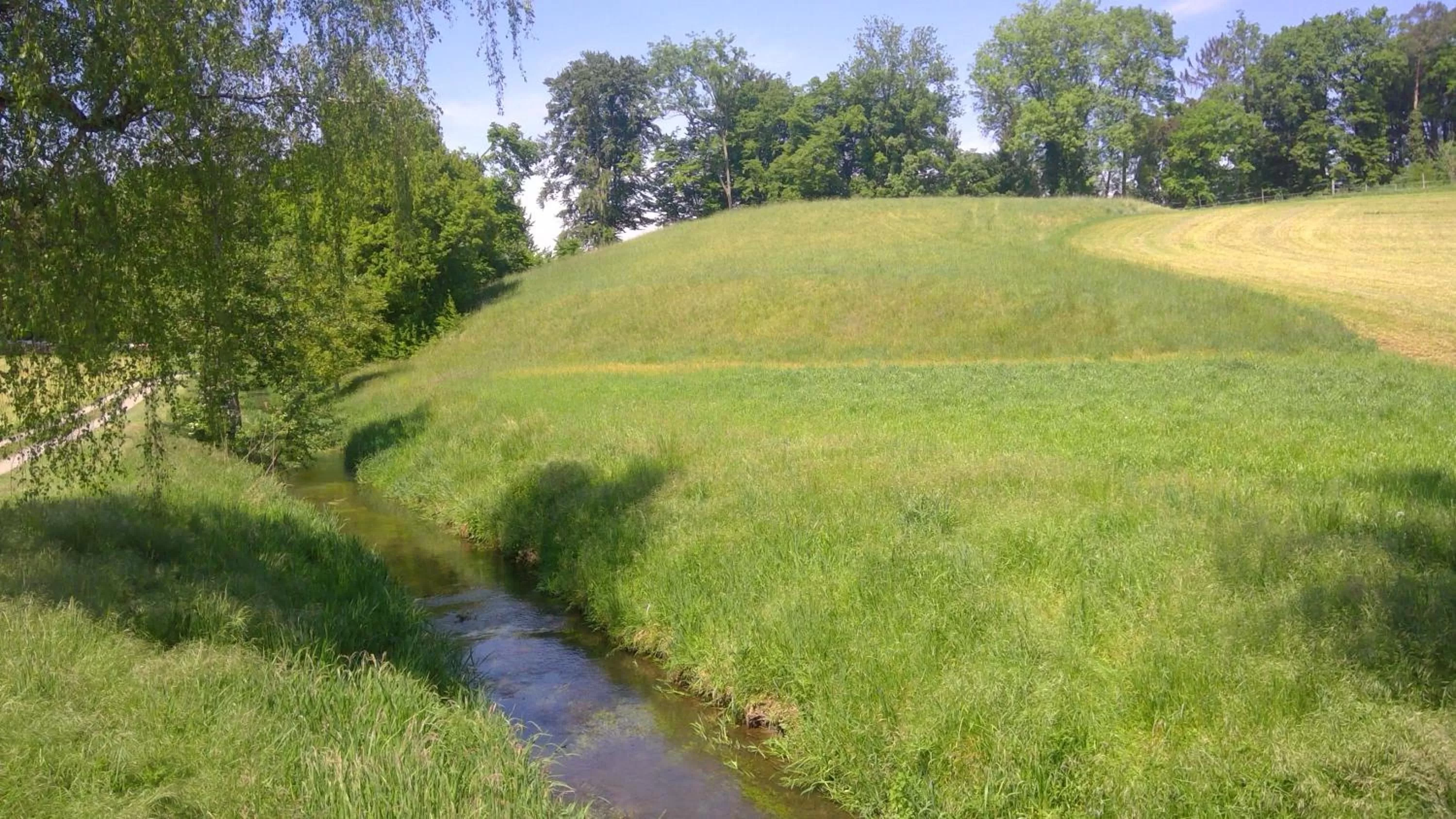 Natural landscape in Bed and Breakfast 24