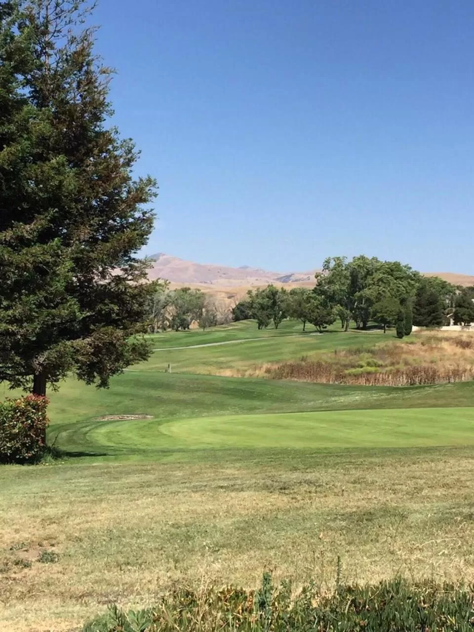 Mountain view in Ridgemark Golf Club and Resort