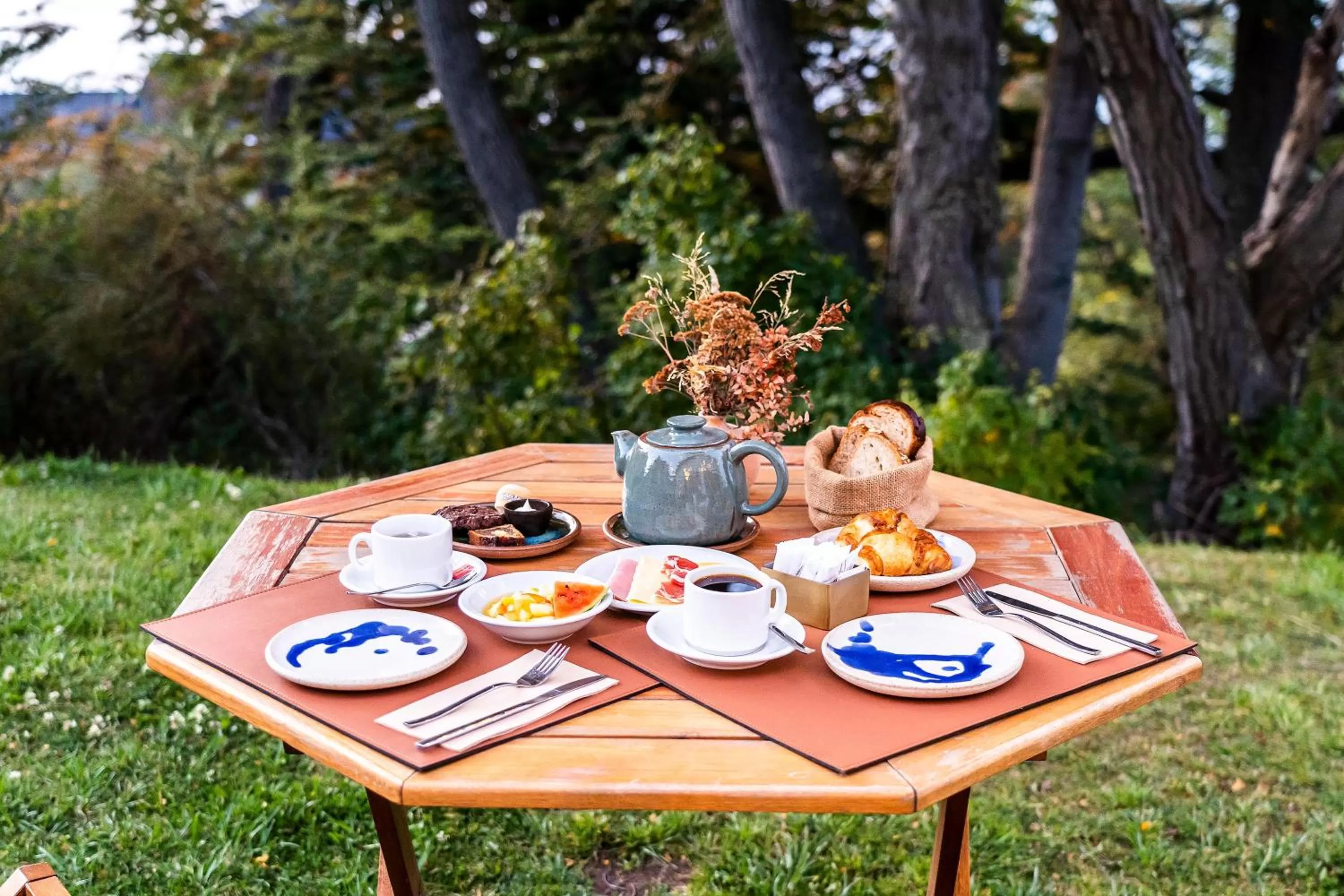 Day in Los Ñires Ushuaia