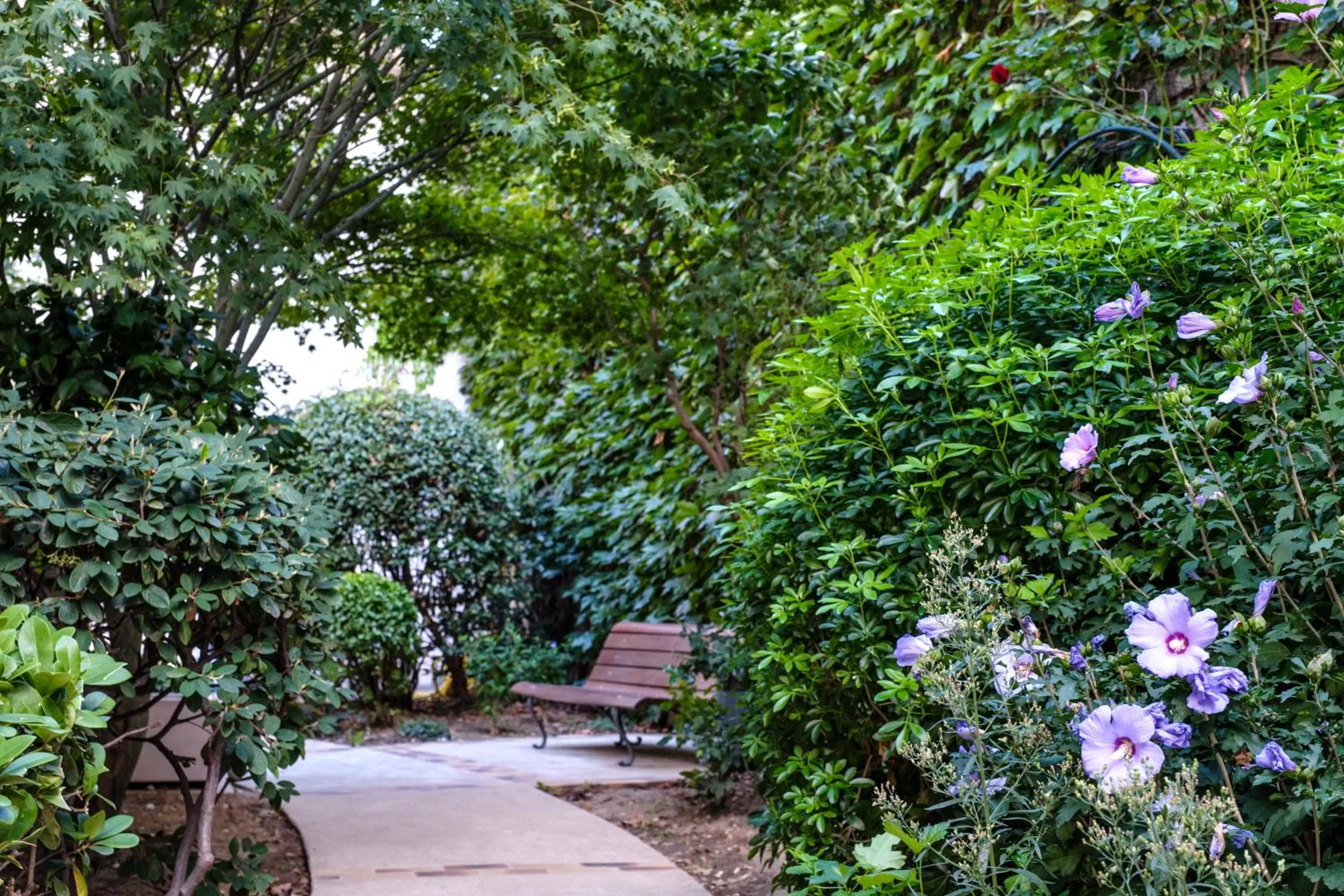 Spring in HOTEL DE PARIS MONTPARNASSE