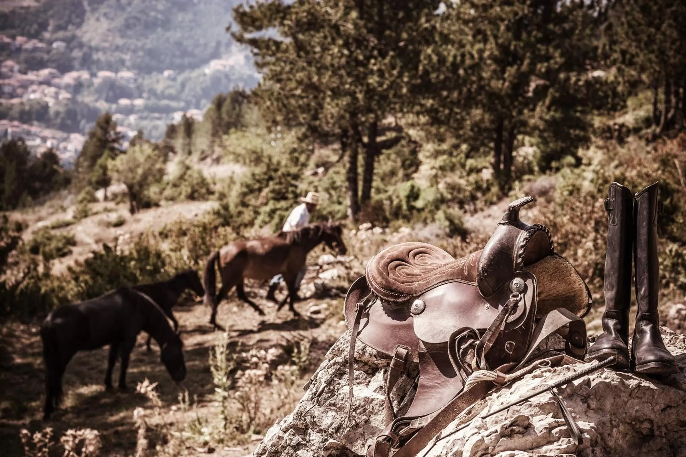 Animals in Grand Forest Metsovo - Leading Hotels of the World