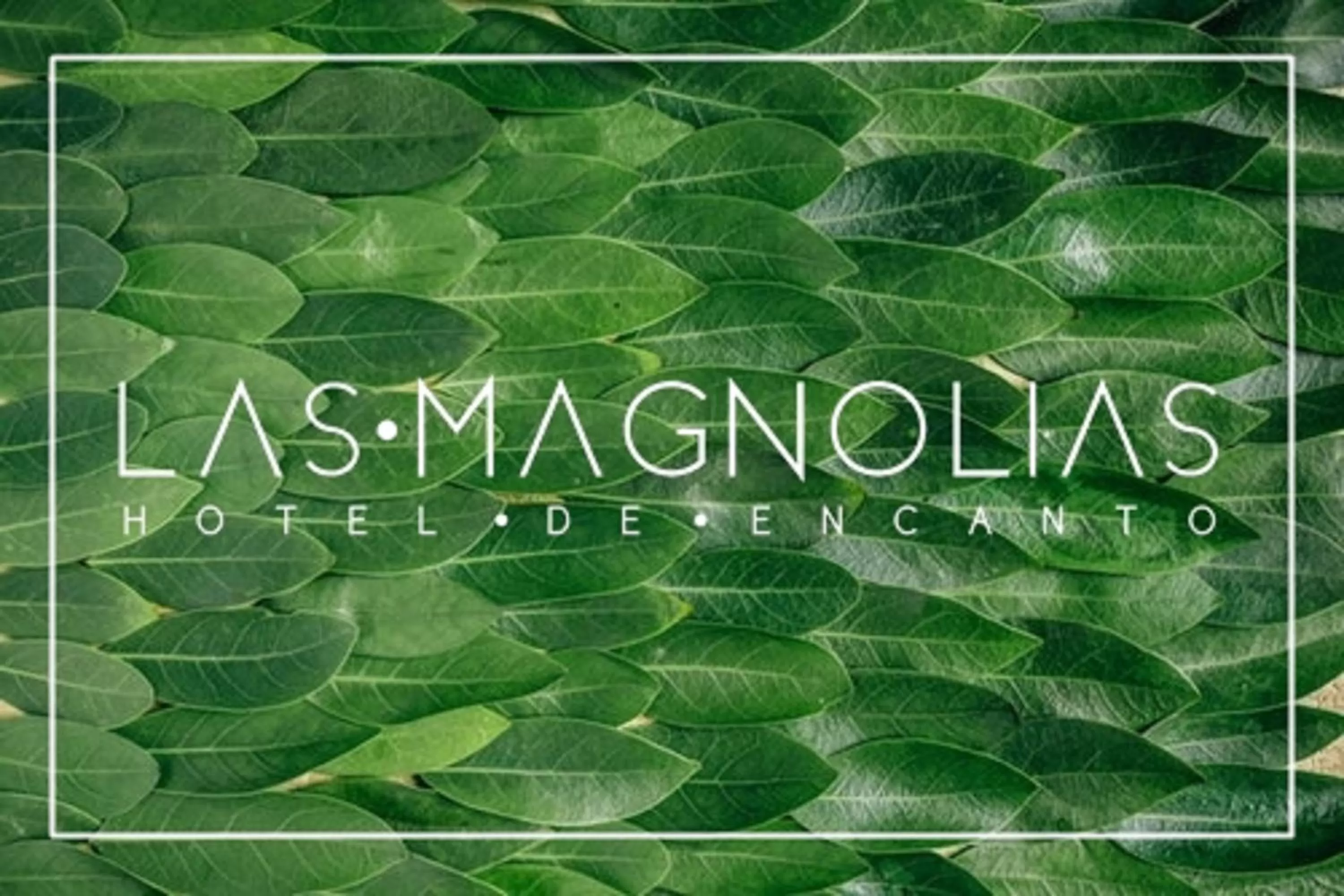 Las Magnolias Hotel Boutique