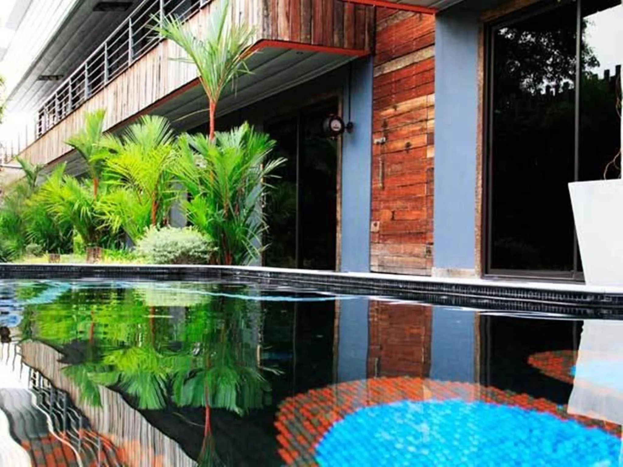 Swimming pool in Nicky's Handlebar