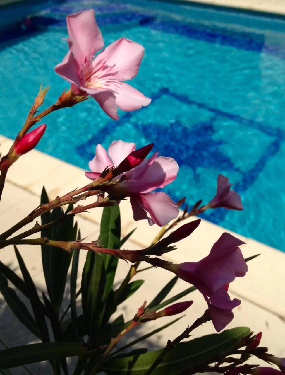 Patio in L'Autre Maison