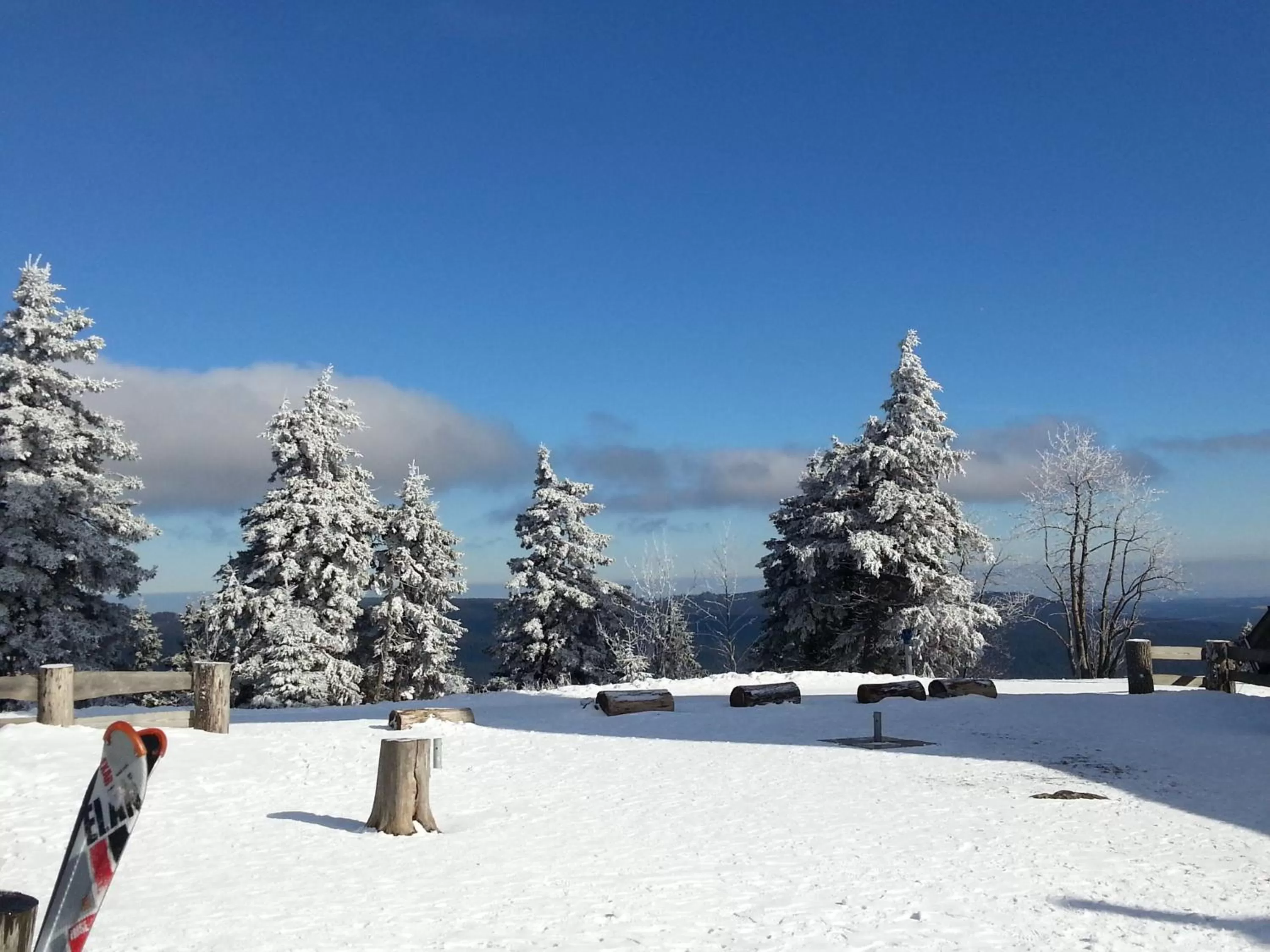 Area and facilities in Pension Haus Petra