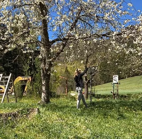 Berggasthof Butzn Wirt