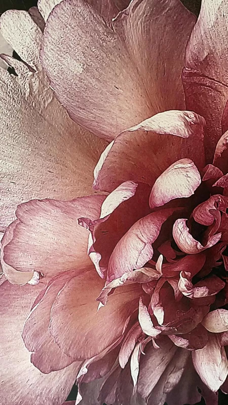 Decorative detail in BnB Bruxelles - Studios & Apartments