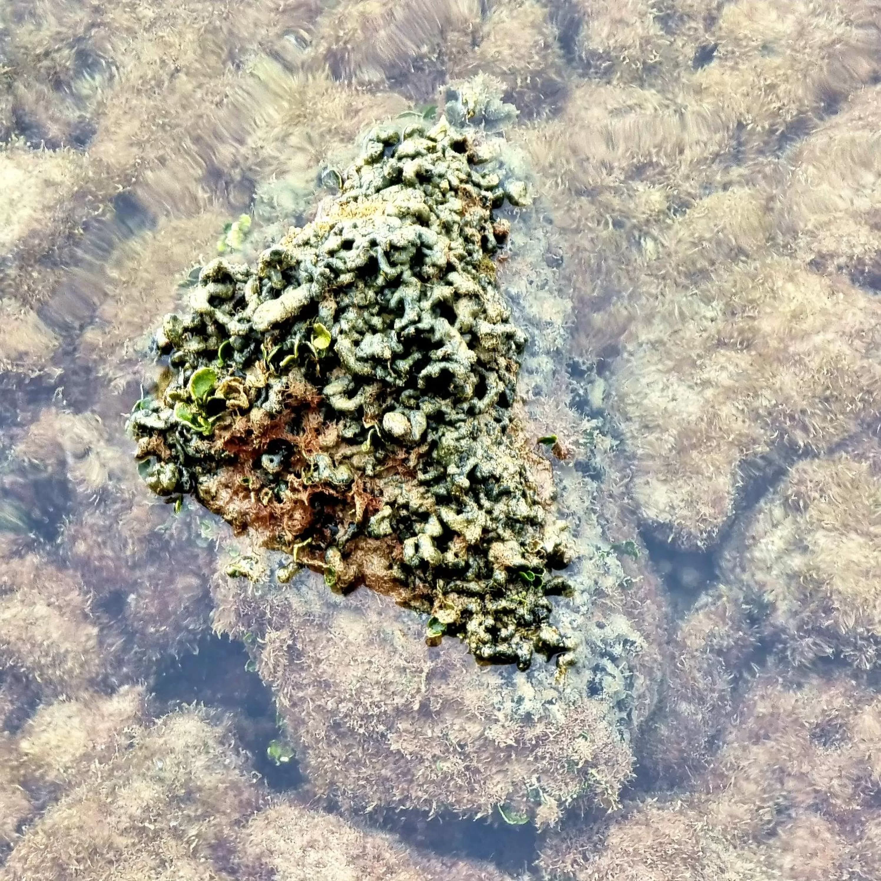 View (from property/room) in Hotel Miramar