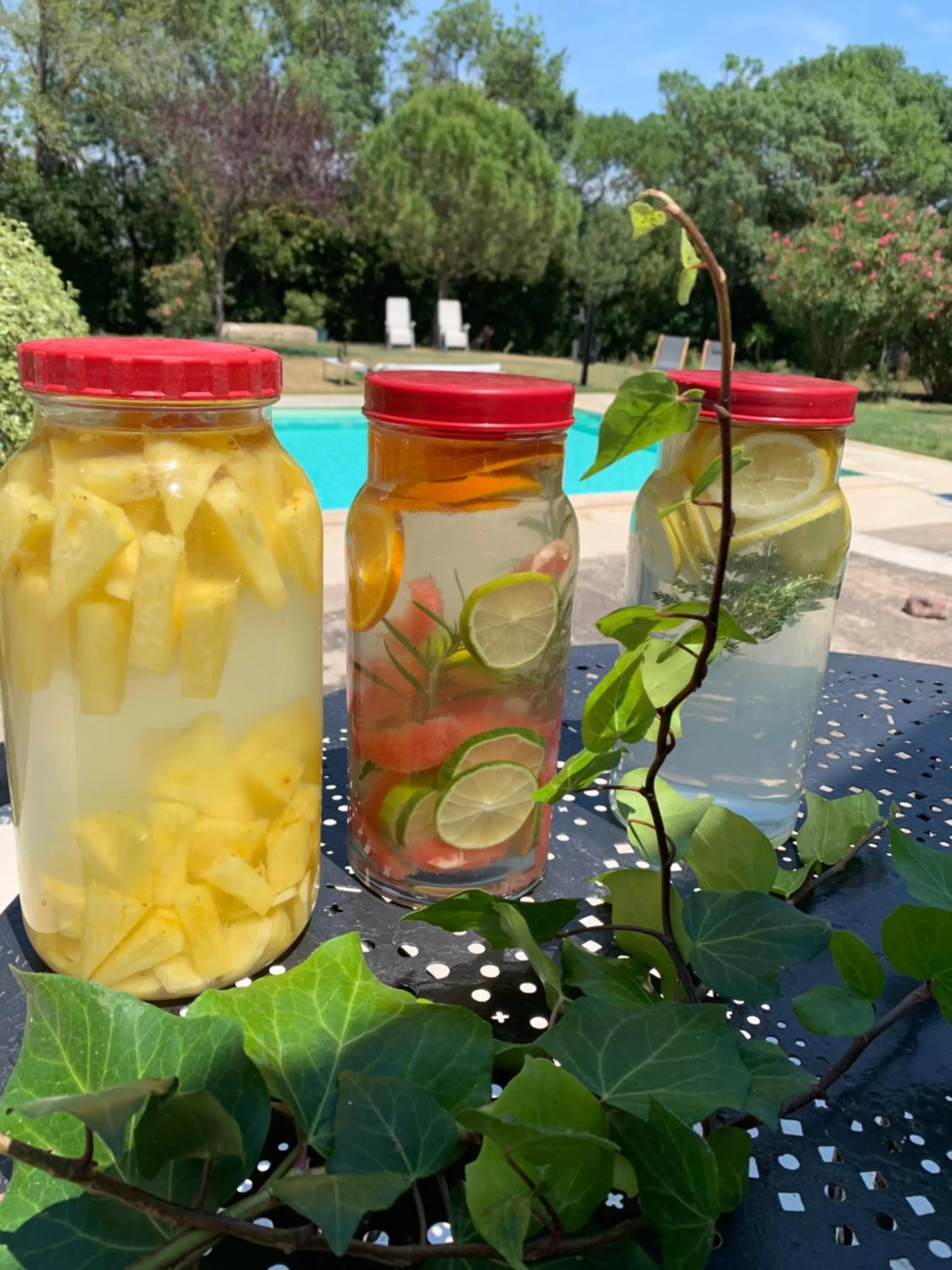 Summer in Le Jardin de LaCoste