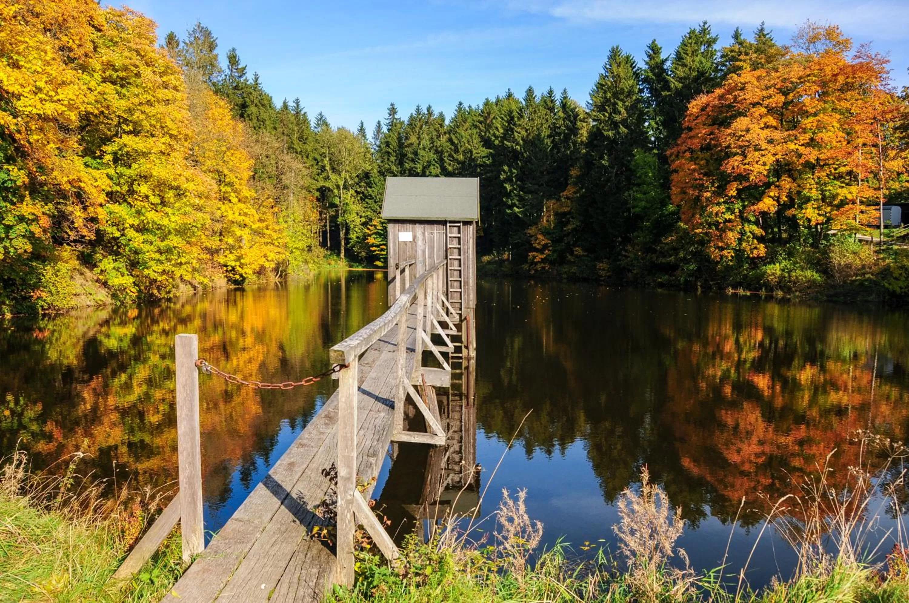 Day in Hotel Zum Harzer