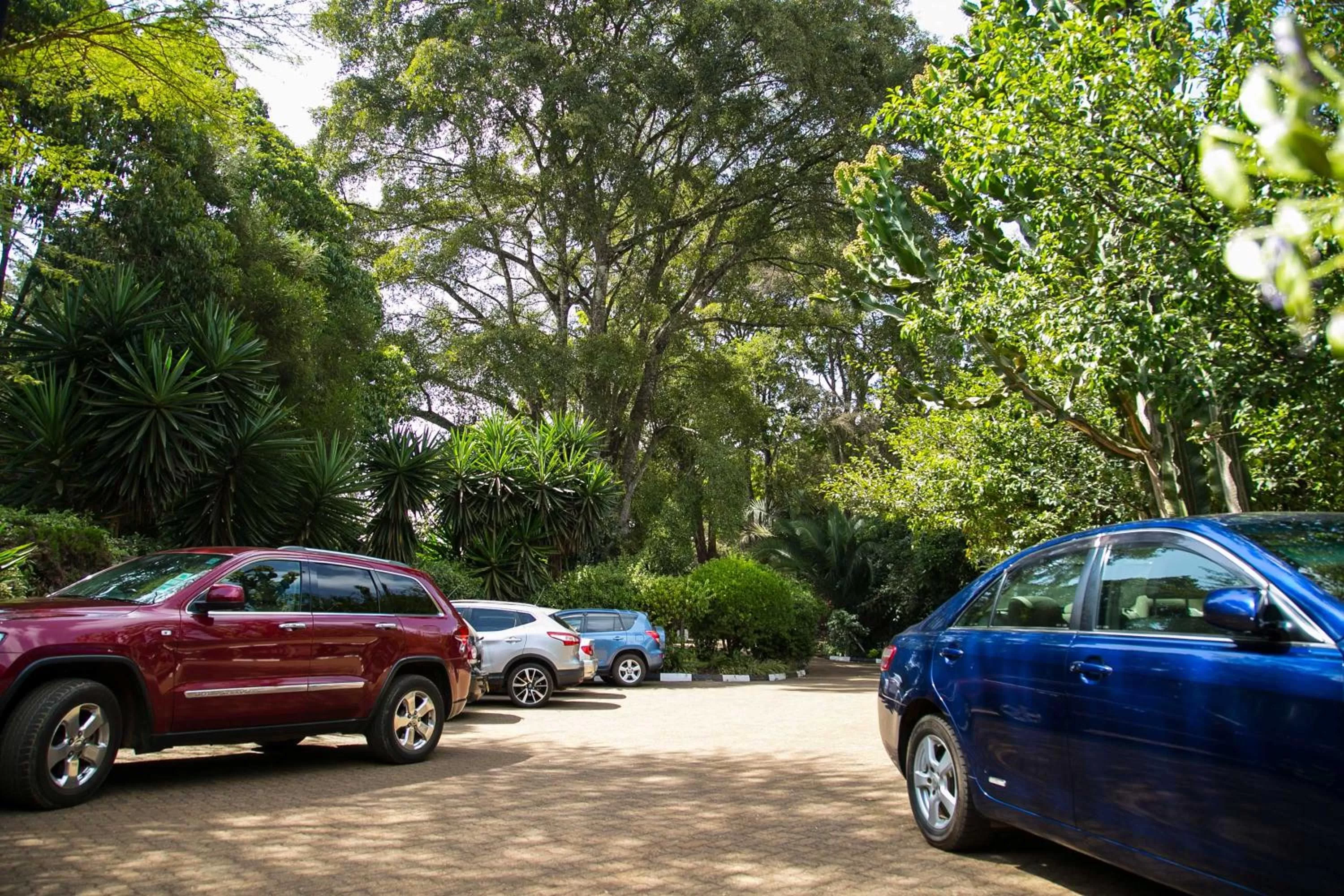 Area and facilities in Thayu House