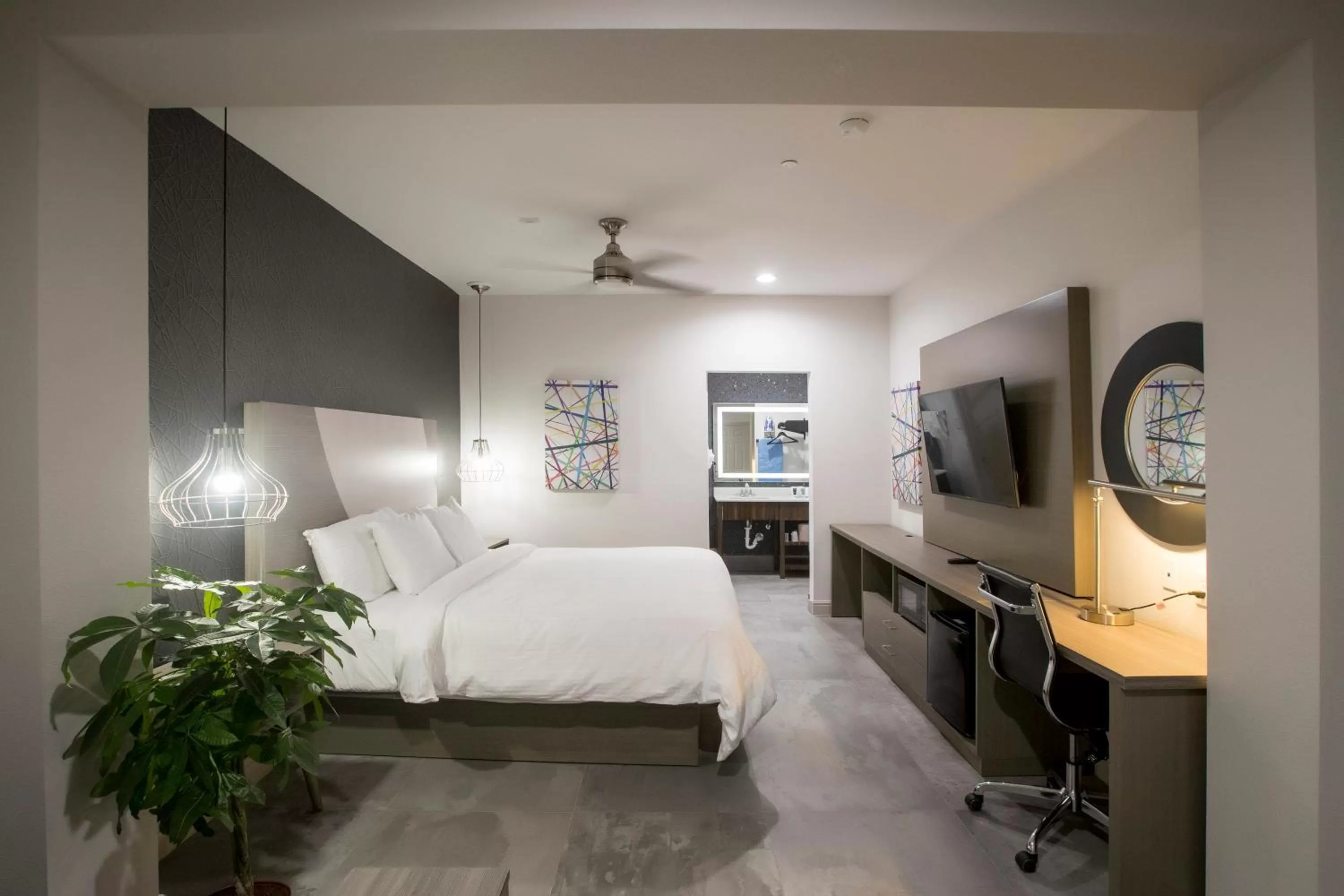 Photo of the whole room in House Hotel