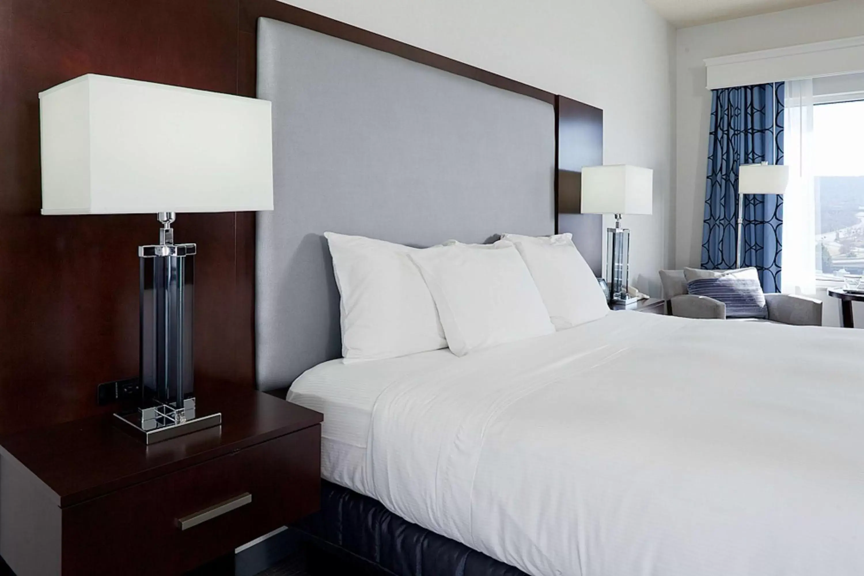 King Suite with Whirlpool - Non-Smoking in Hilton Scranton & Conference Center King Suite with Whirlpool - Non-Smoking in Hilton Scranton & Conference Center