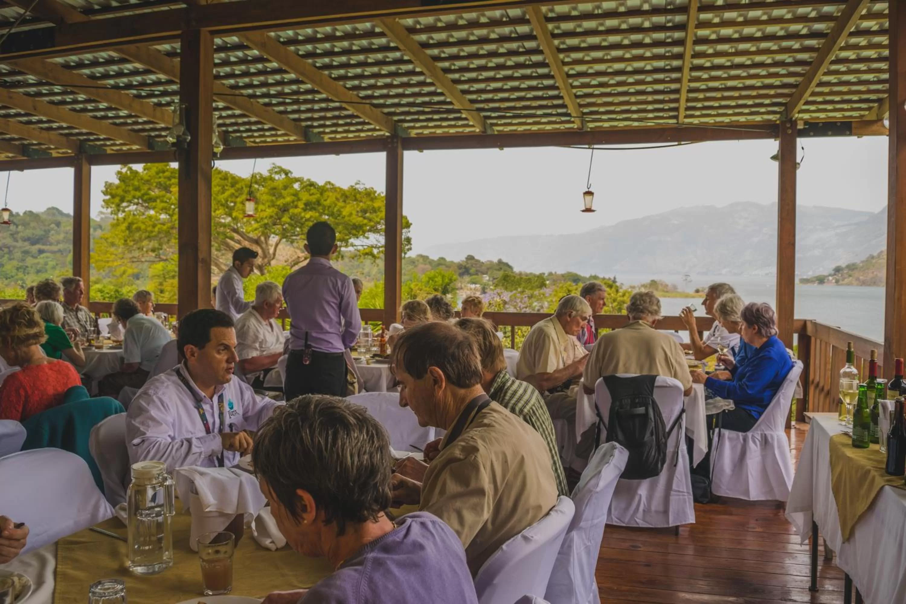 Restaurant/places to eat in Hotel Toliman