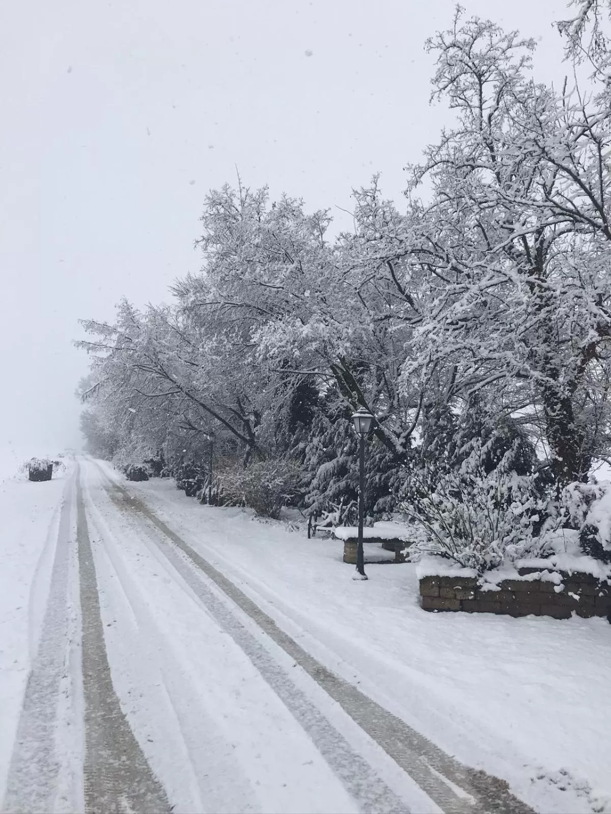 Natural landscape in B&B Molinetto