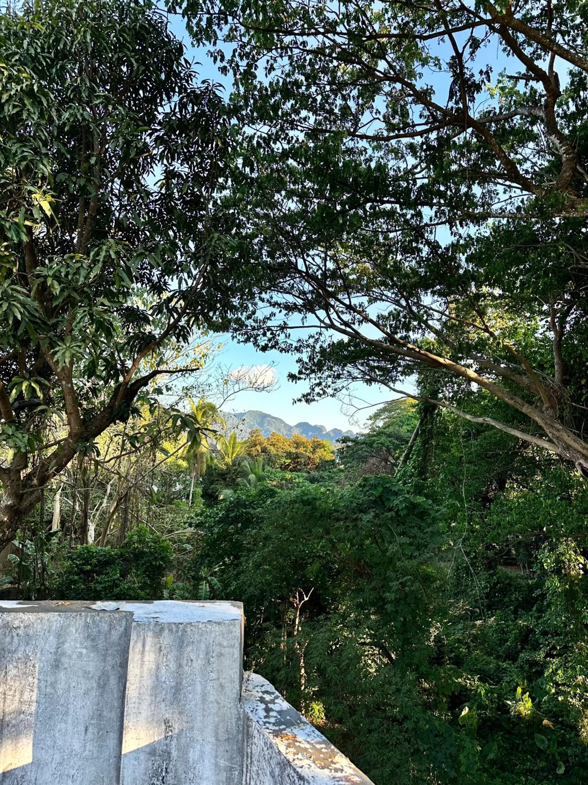 Day in Harbour Bliss Hotel