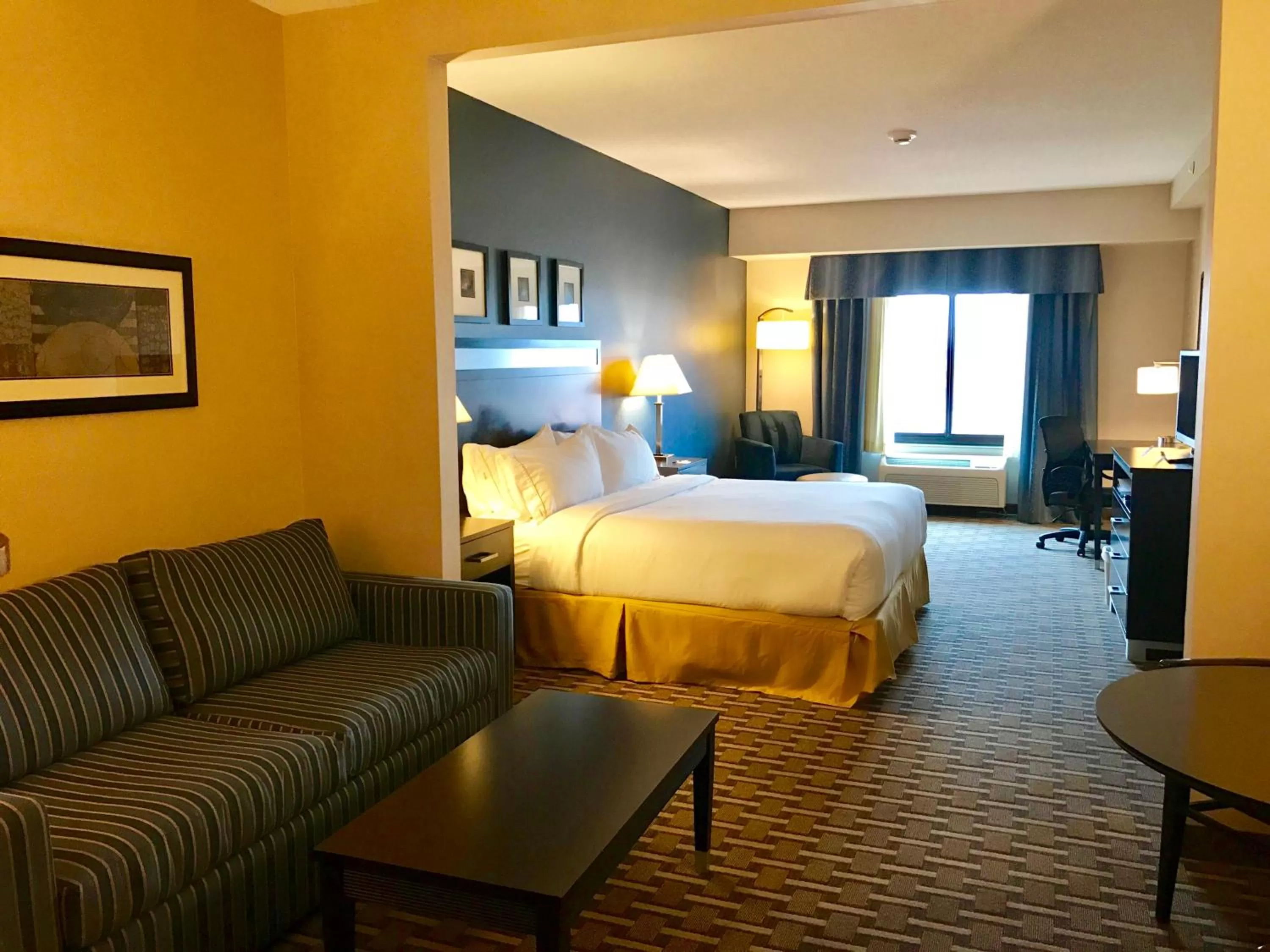 King Suite  - Hearing Accessible in Holiday Inn Express & Suites Morton Peoria Area, an IHG Hotel