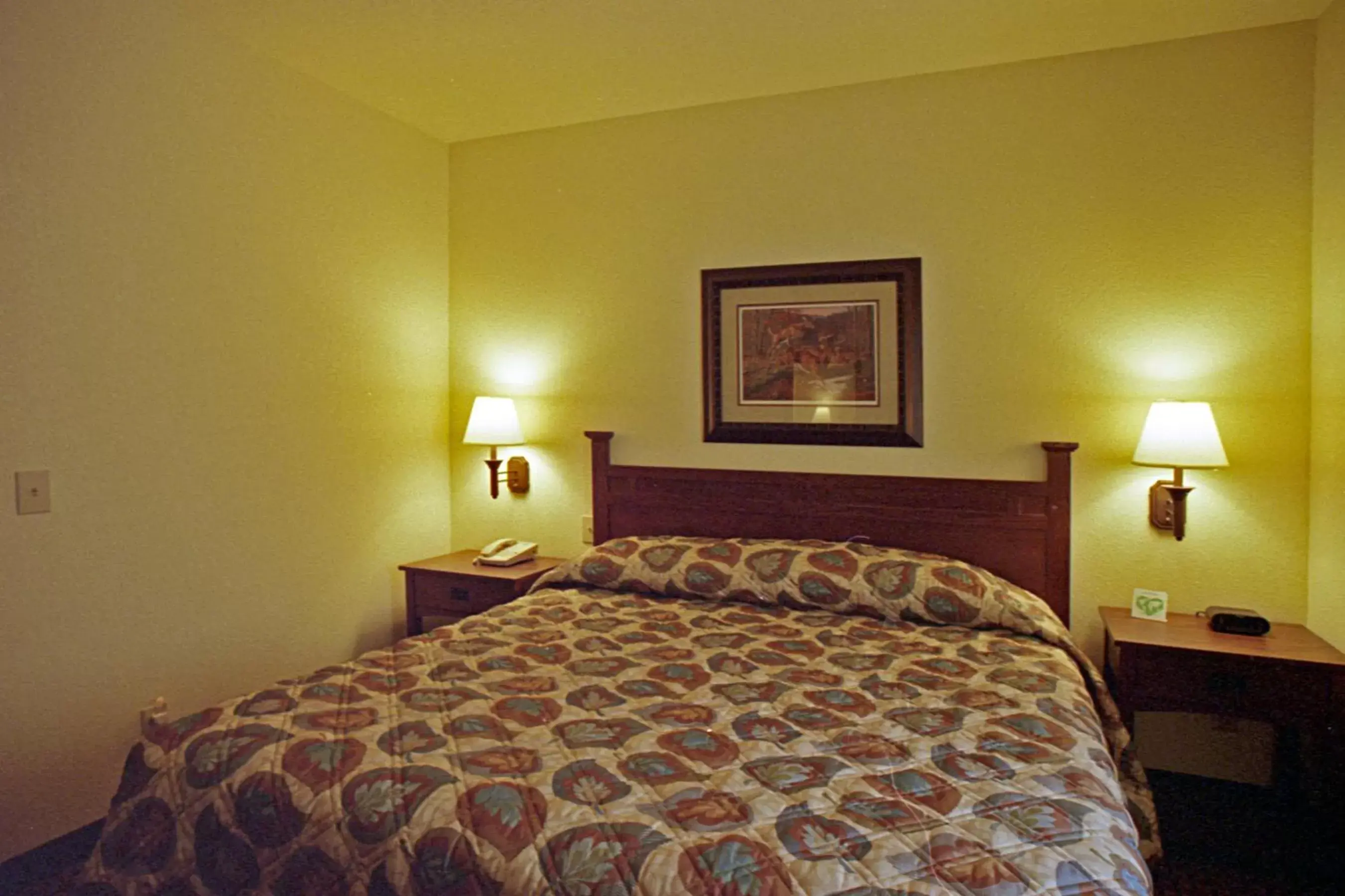Deluxe King Room in Mountain Inn & Suites Airport - Hendersonville Deluxe King Room in Mountain Inn & Suites Airport - Hendersonville