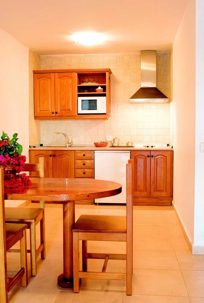 Kitchen or kitchenette in Aparthotel Costa Mar