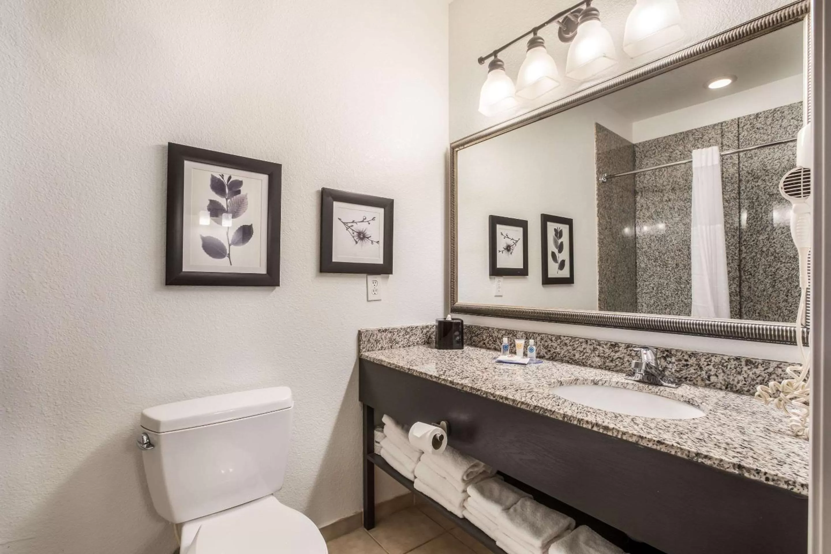 Bathroom in Comfort Inn & Suites Fairburn - Atlanta Southwest