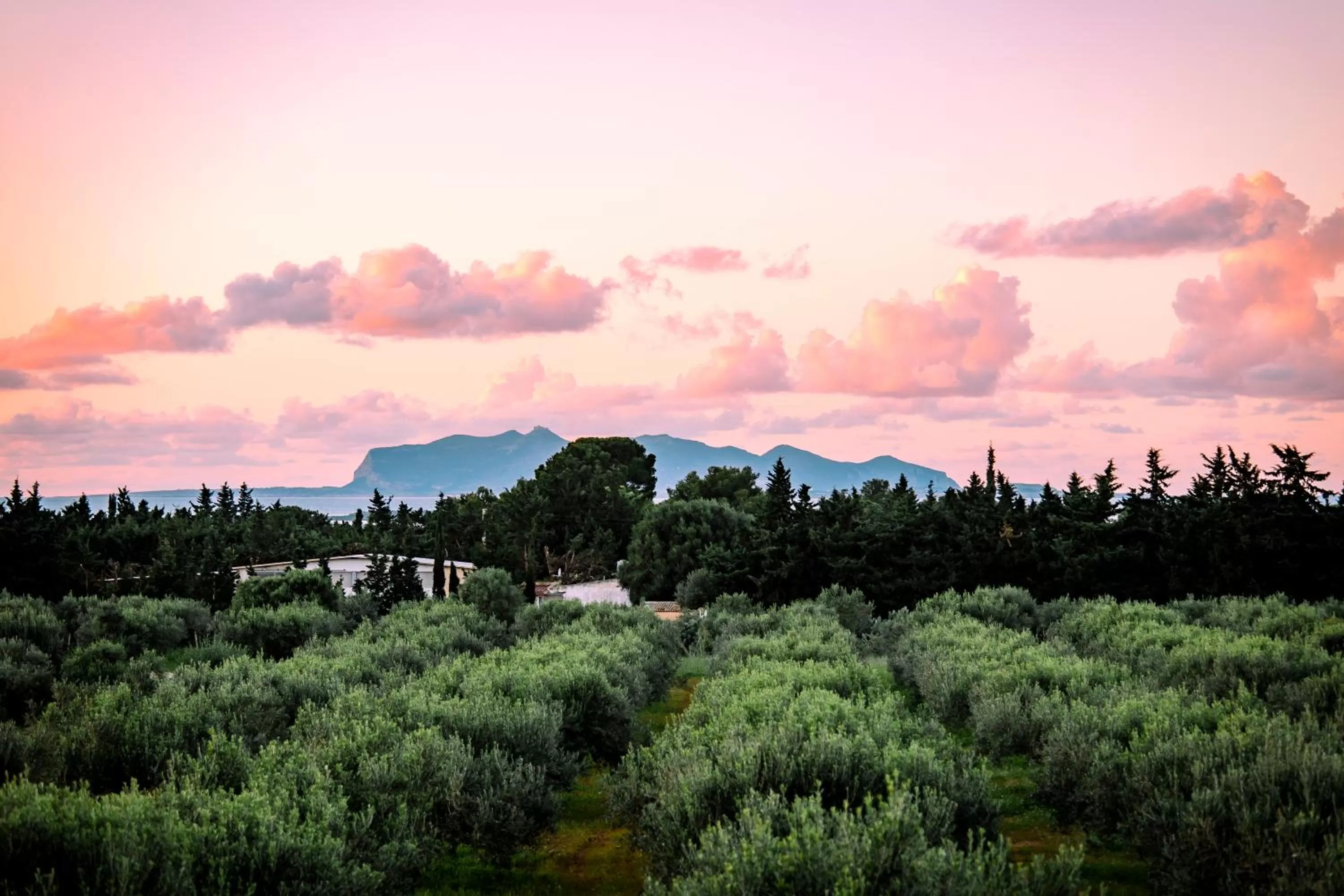 View (from property/room) in Baglio Custera