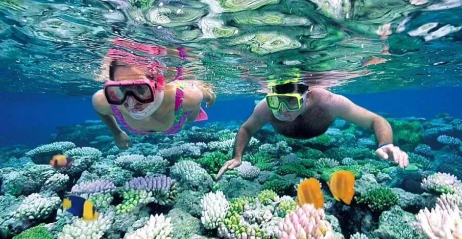 Baraka Aquarium Bungalows