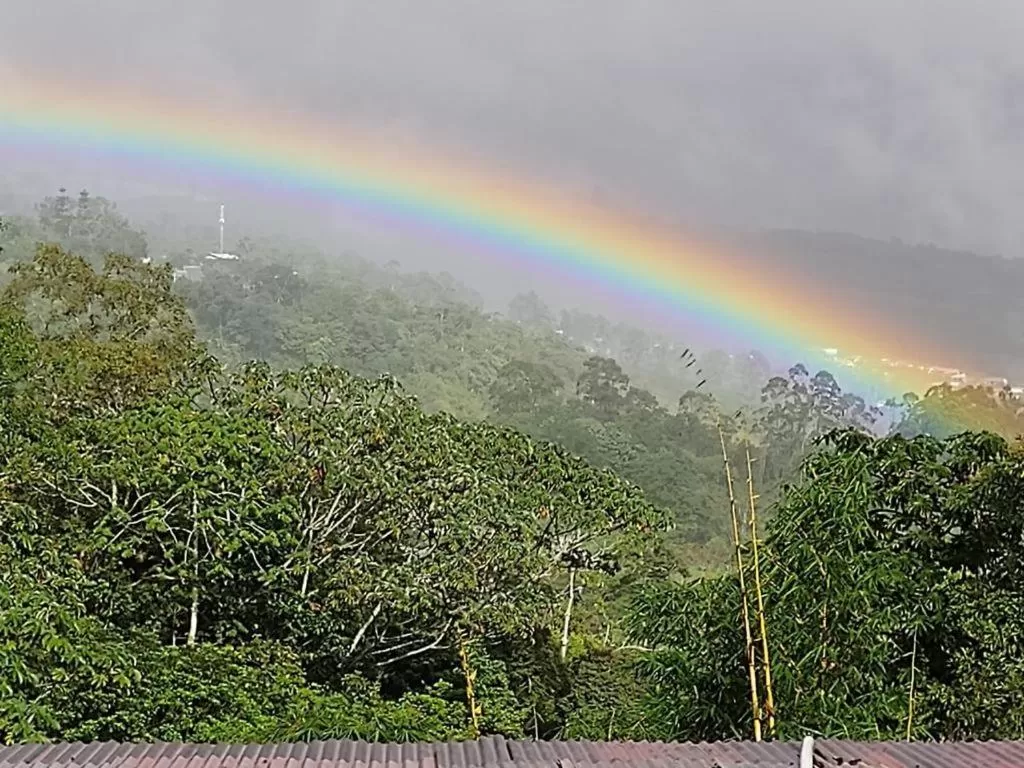Natural landscape in Hotel Green Mountain turrialba