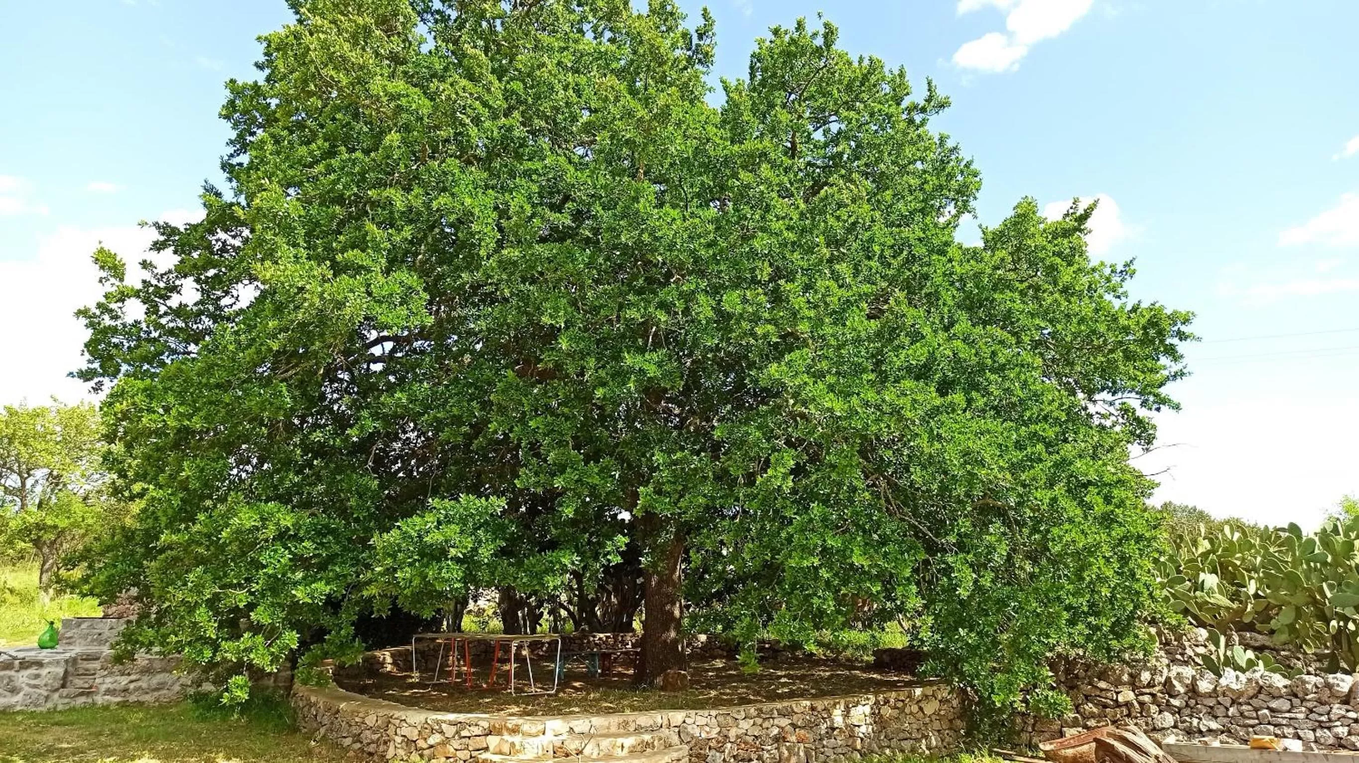 Natural landscape in Masseria LoJazzo