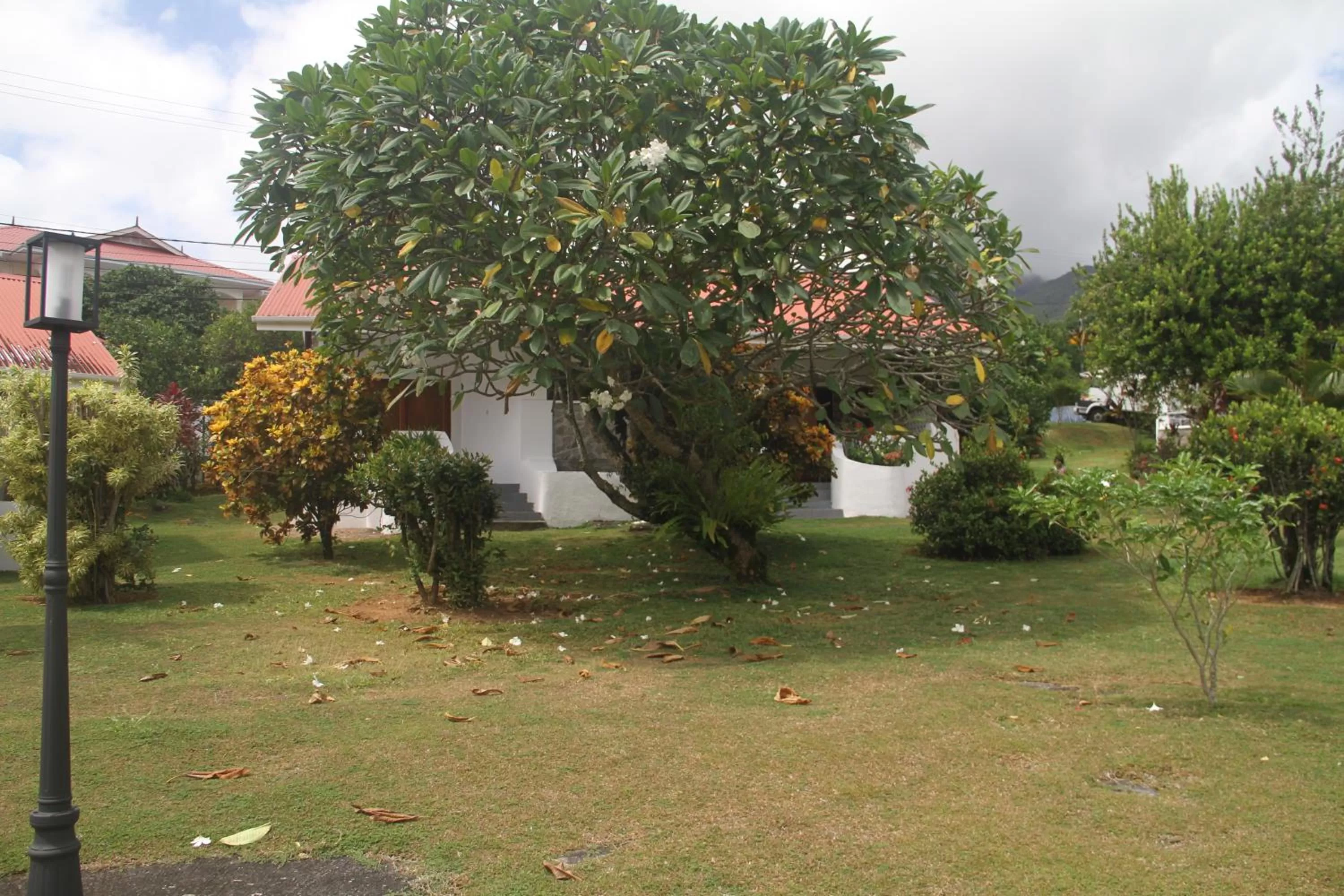 Garden in Daniella's Bungalows
