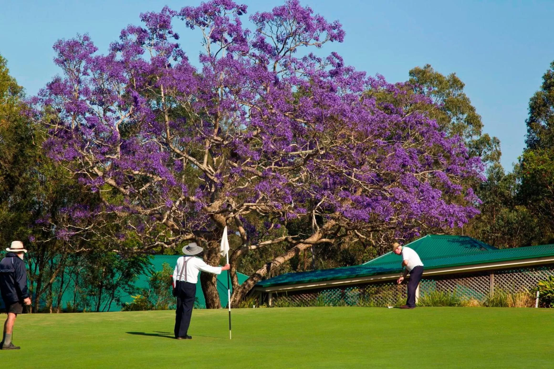 Area and facilities in Golf Club Motor Inn Wingham